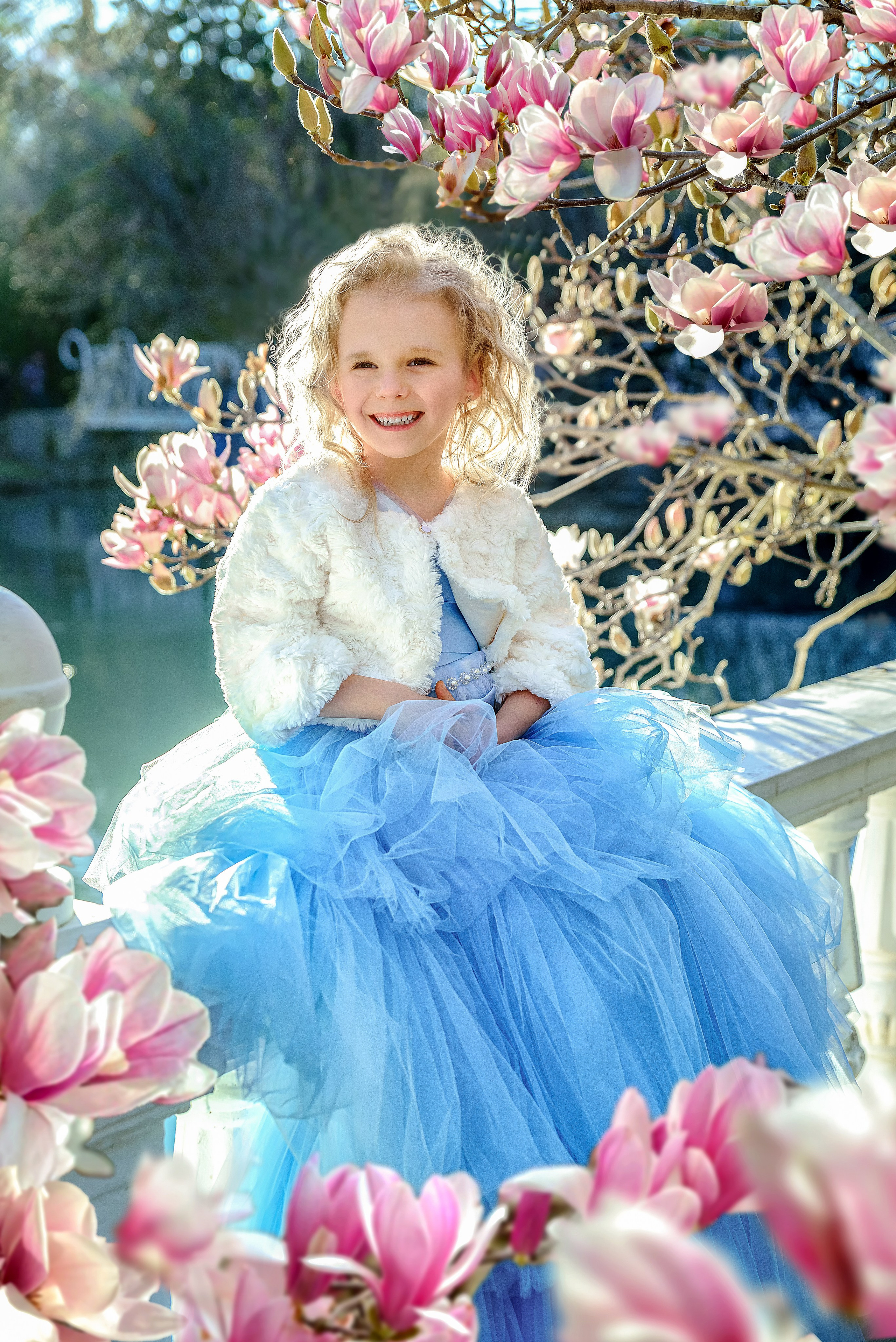 Цветение Магнолии. Фотограф в Москве Lidiya_Li_Photo