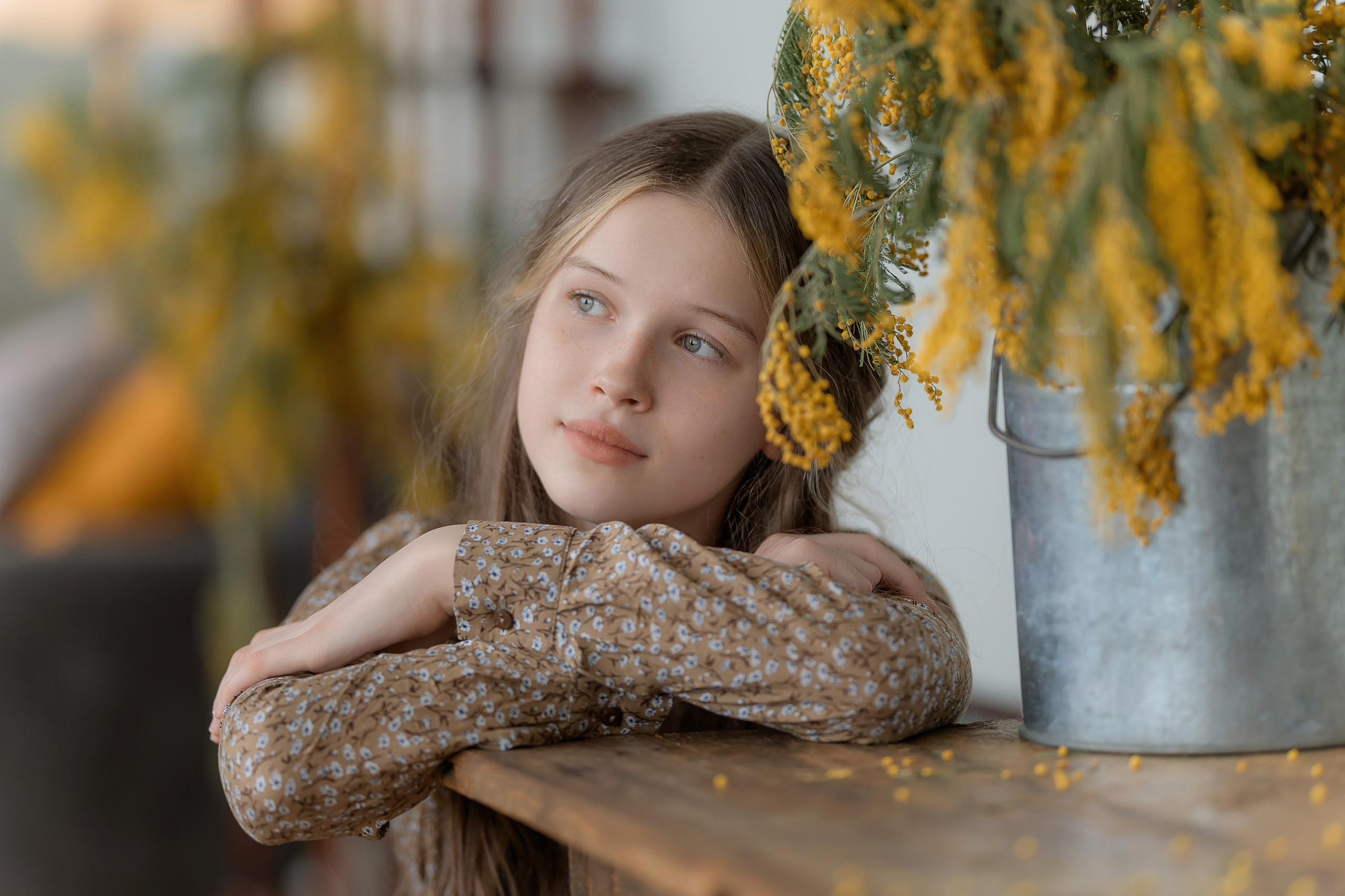 Мимоза. Детский и семейный фотограф Склярова Екатерина