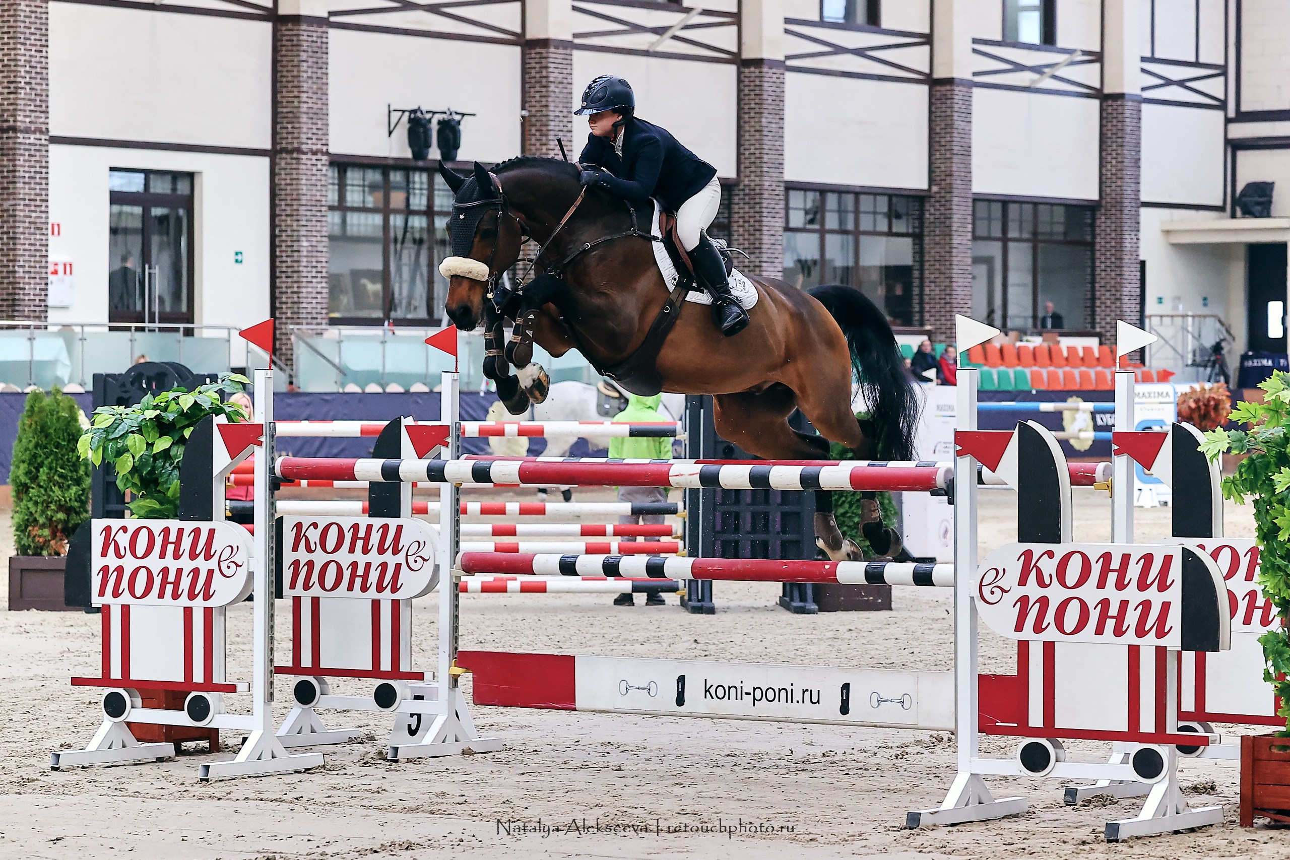 Кубок Президента ОАЭ по конкуру, Maxima Stables | 11'2023. Репортажный фотограф и ретушер в Москве Наталья Алексеева