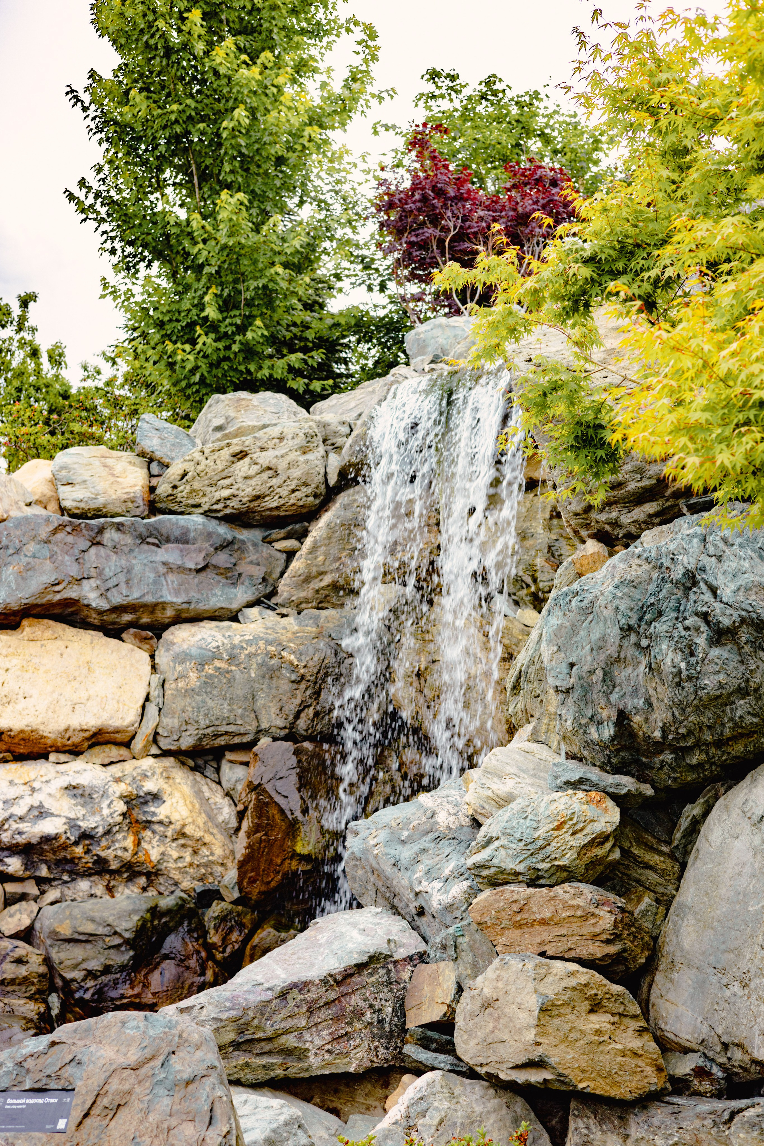 Японский сад в Краснодаре. Профессиональный фотограф и видеооператор