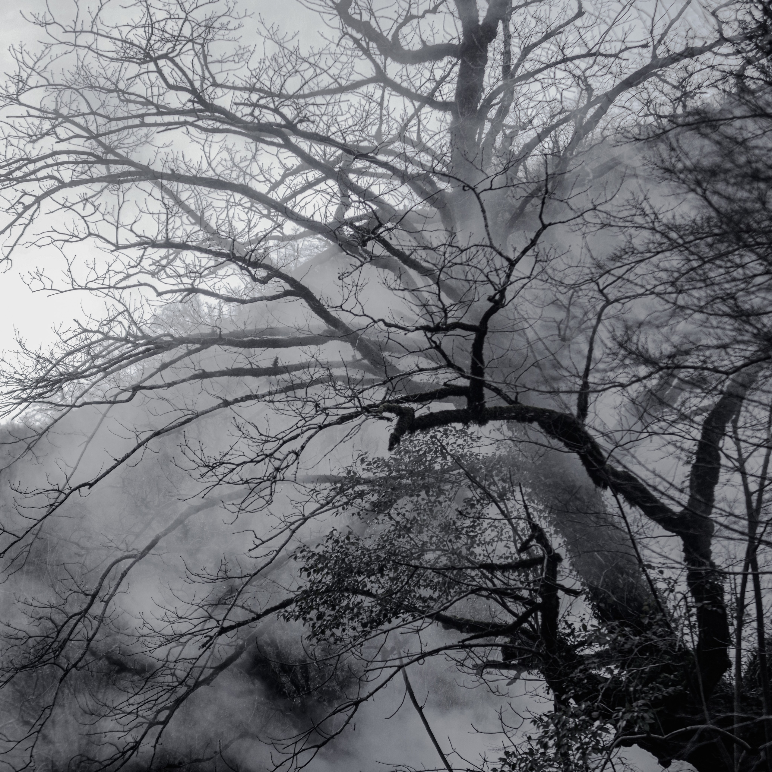 Nokalakevi. Портретный фотограф Денис Милютин