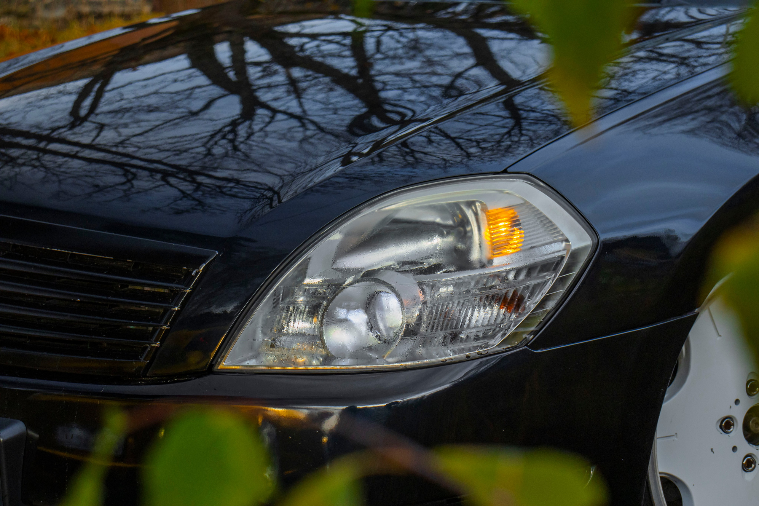 Kia ceed & Nissan Teana J31