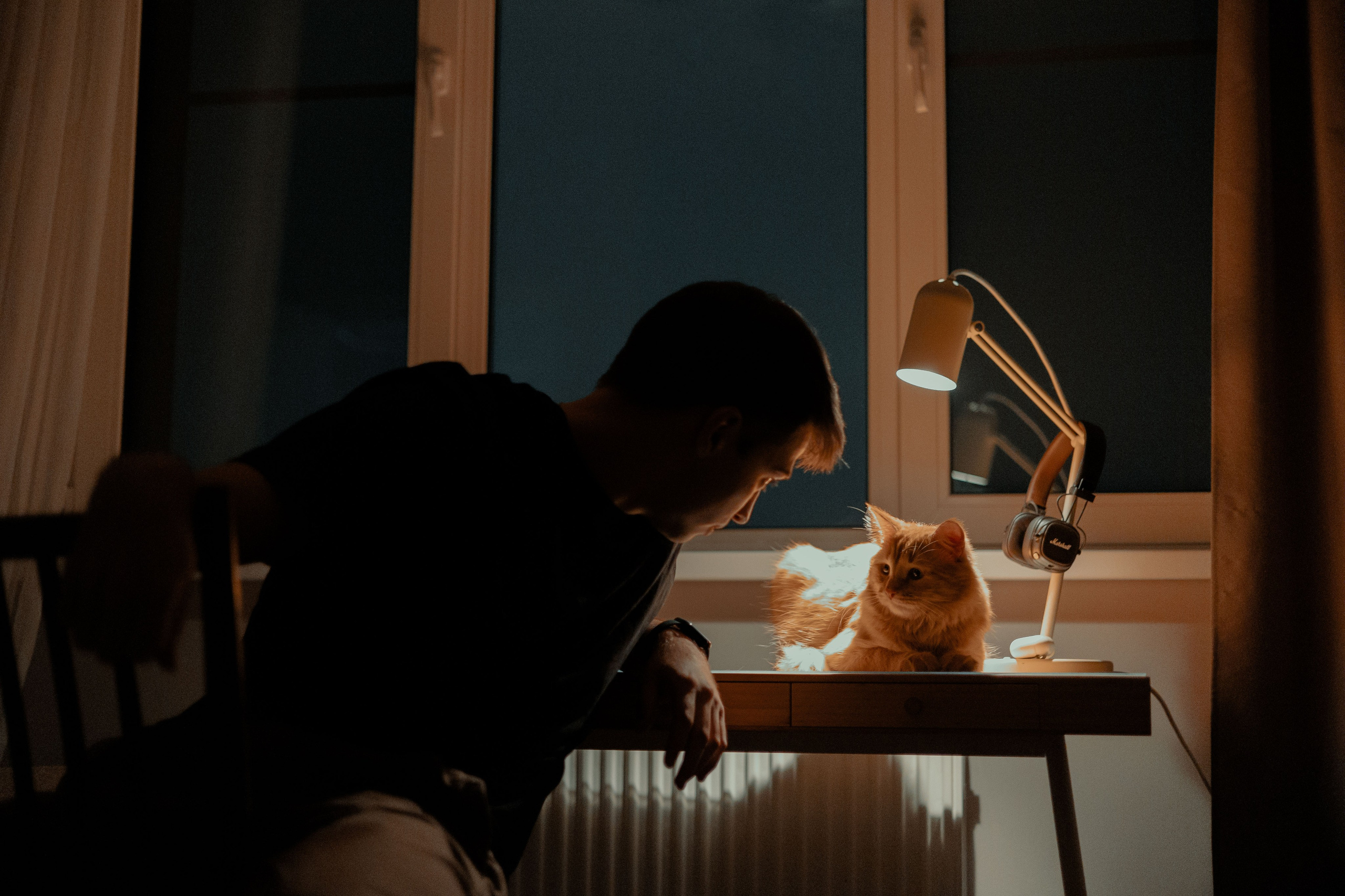 Рыжий Маффин, Алёна и Антон. Фотограф Анималист Екатерина Справцева в Нижнем Новгороде