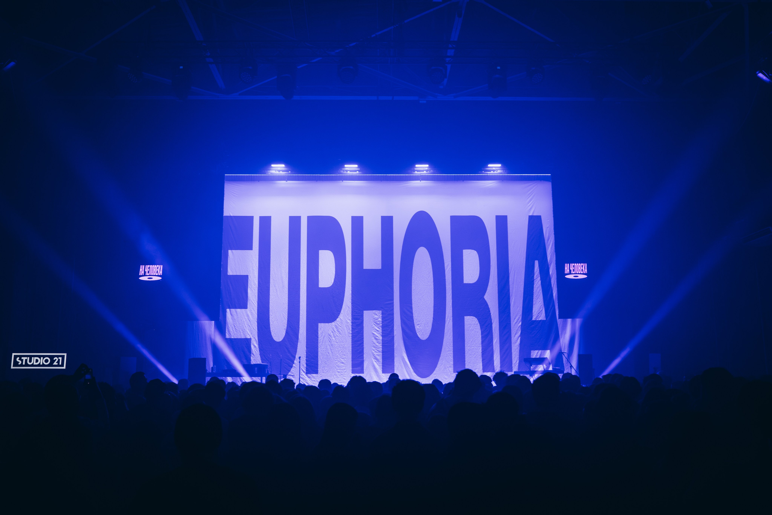 SALUKI. Фотограф Санкт-Петербурга