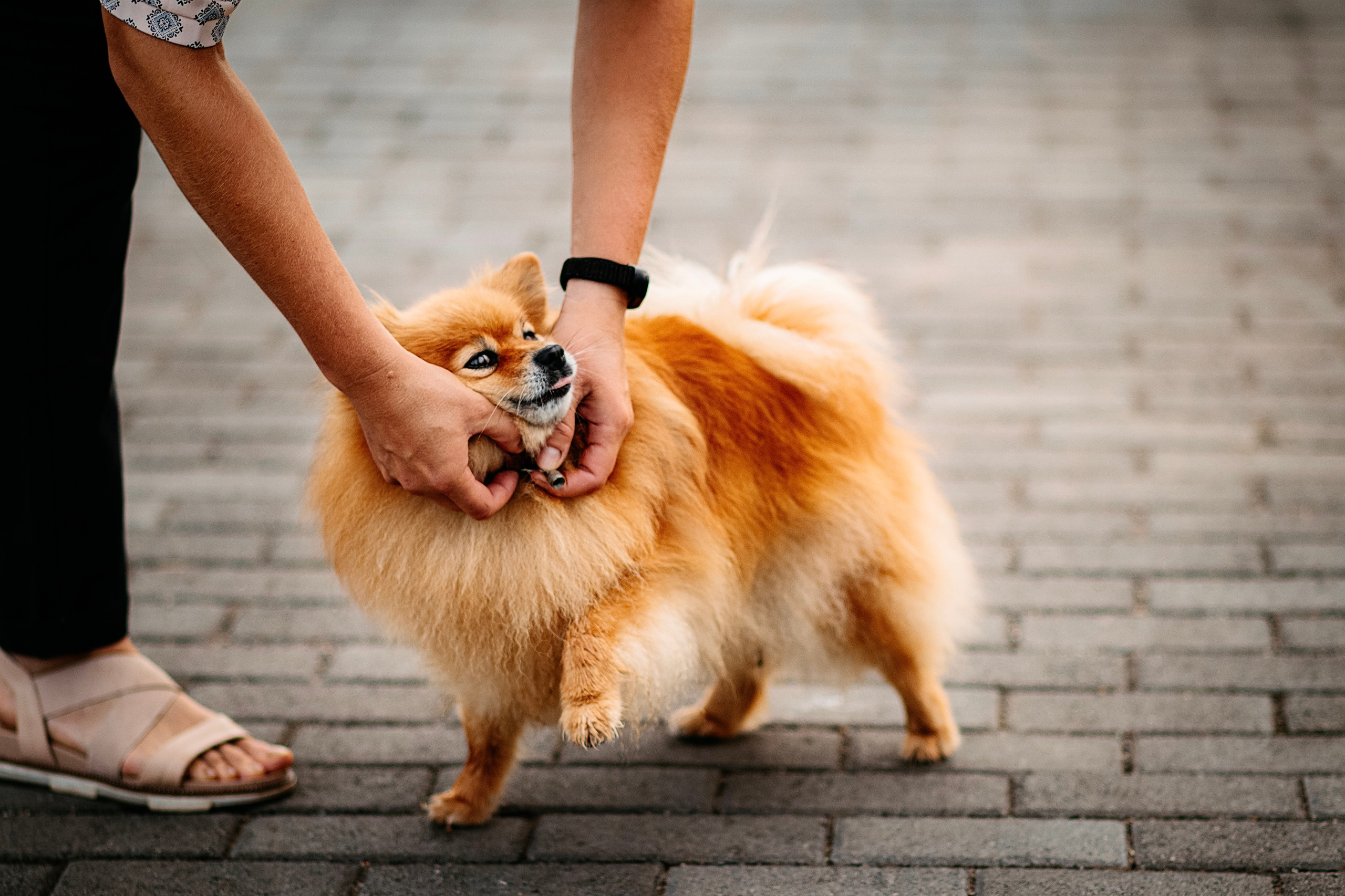 Джулия. Фотограф в Арсеньеве