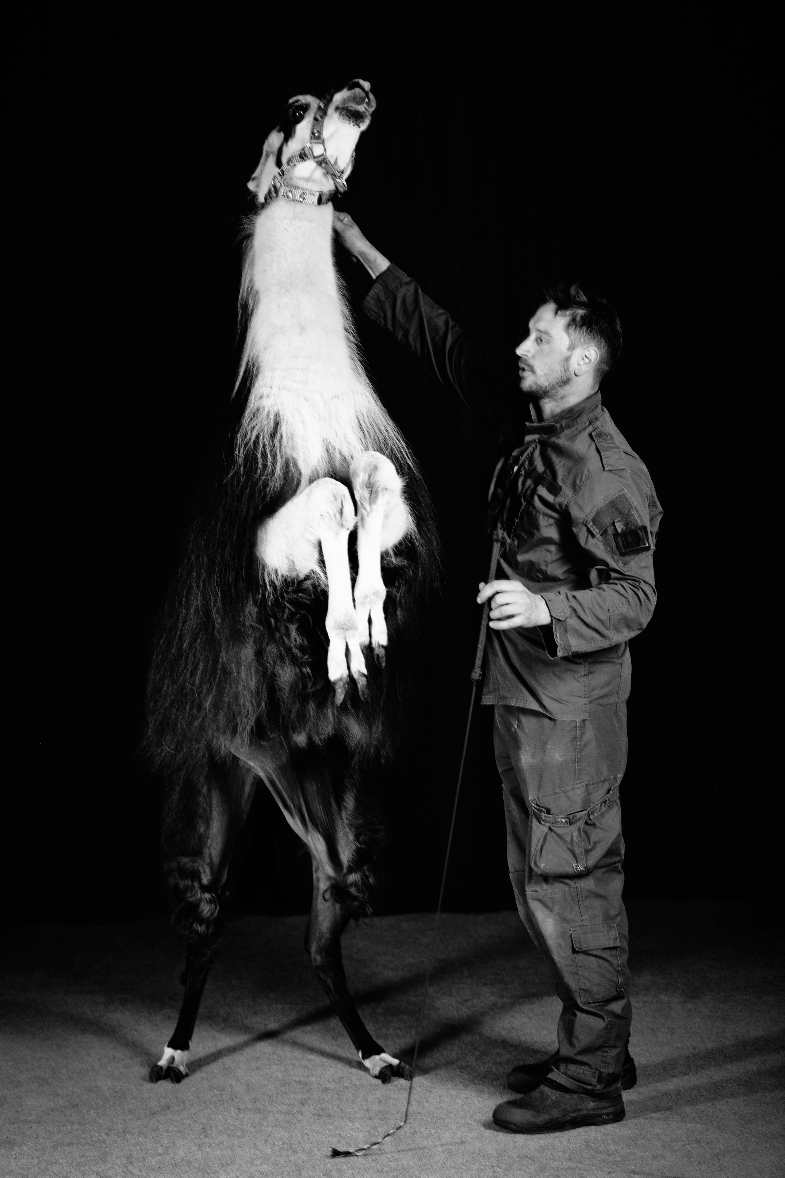SHUSTOVI/ANIMALS. Sveta GOSHTAUTAS фотограф Пермь