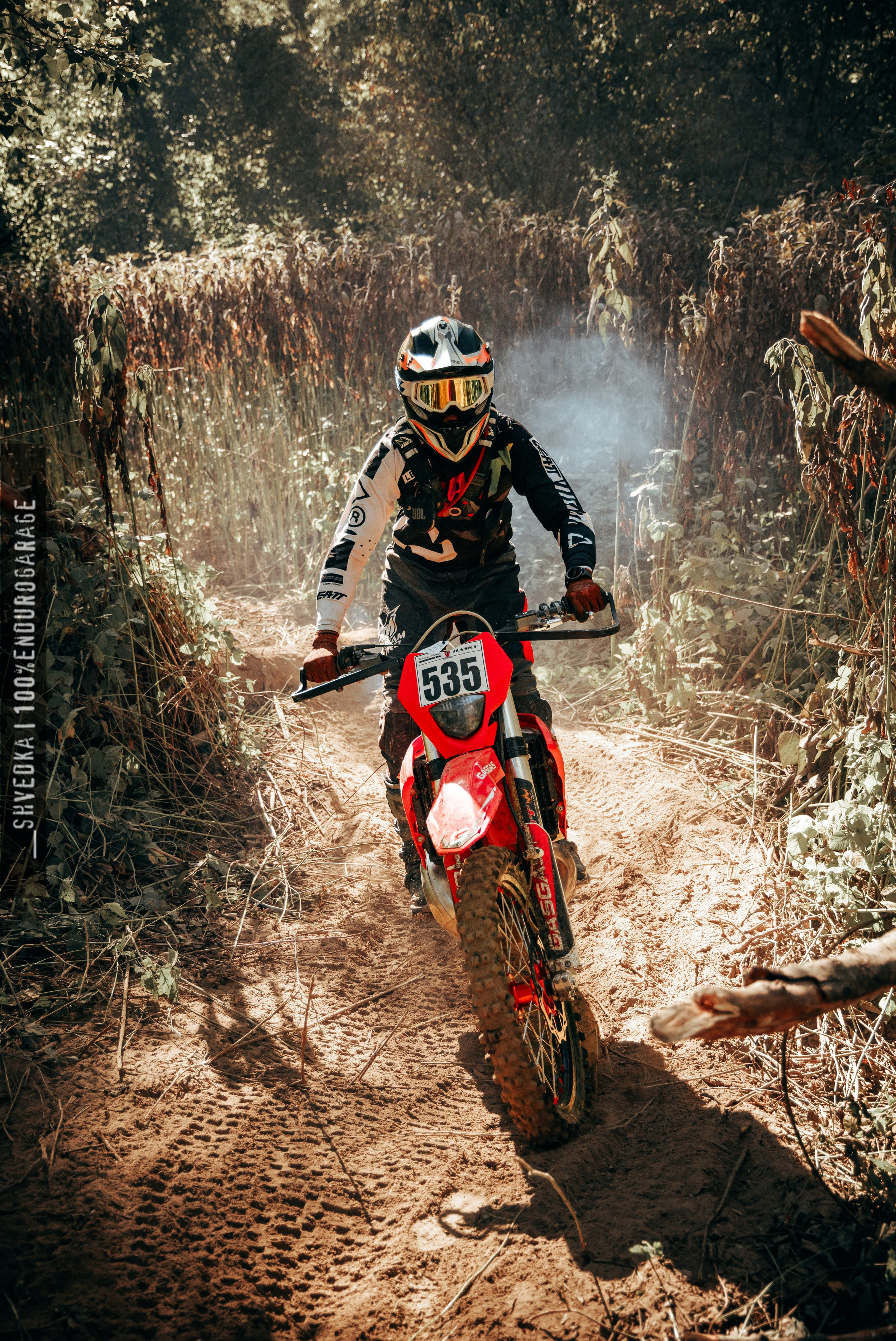 2 лесной день. Ваш экстрим фотограф Кудрева Яна