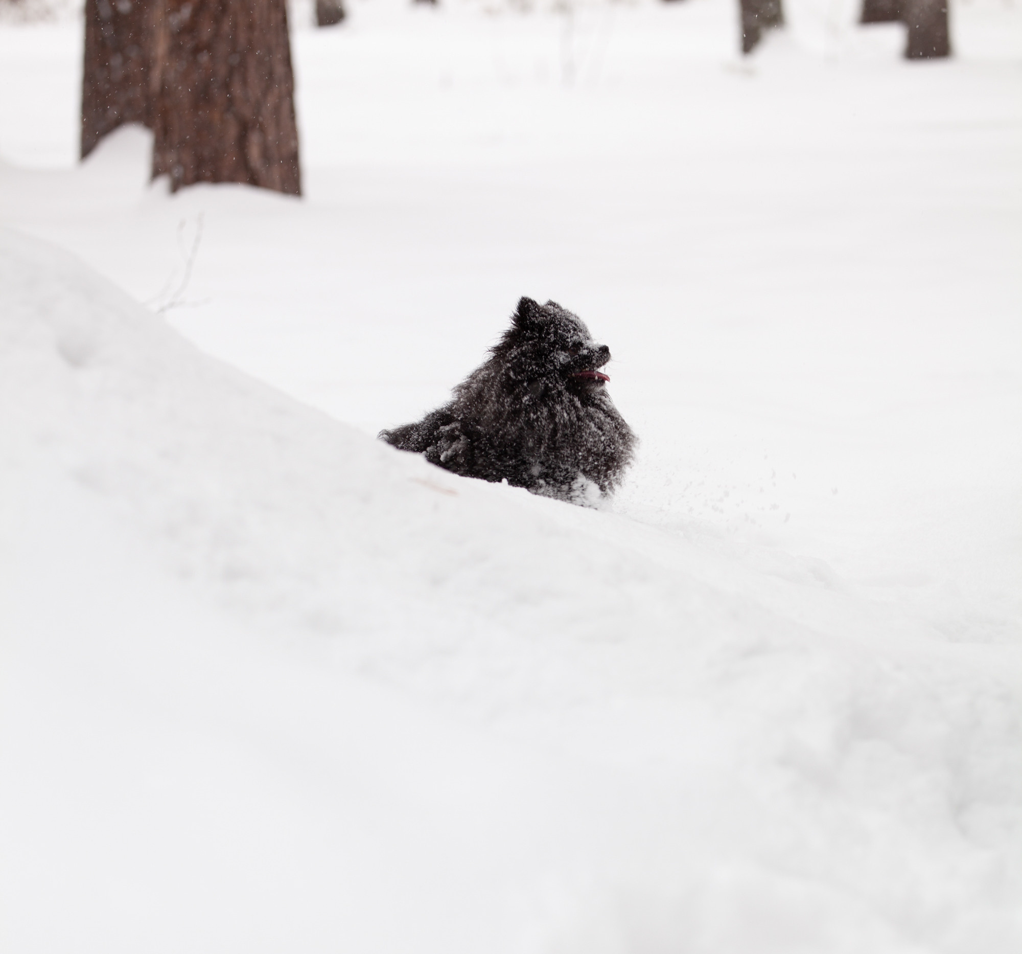 Снежный апрельский день. Фотограф в Екатеринбурге Ирина Киприянова