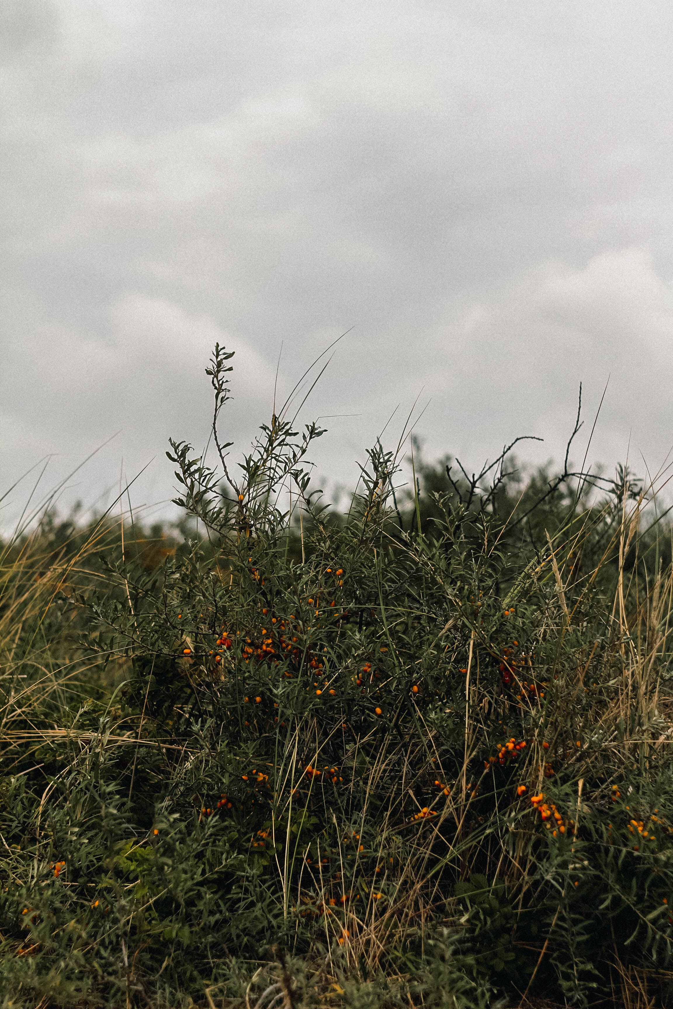 Калининград