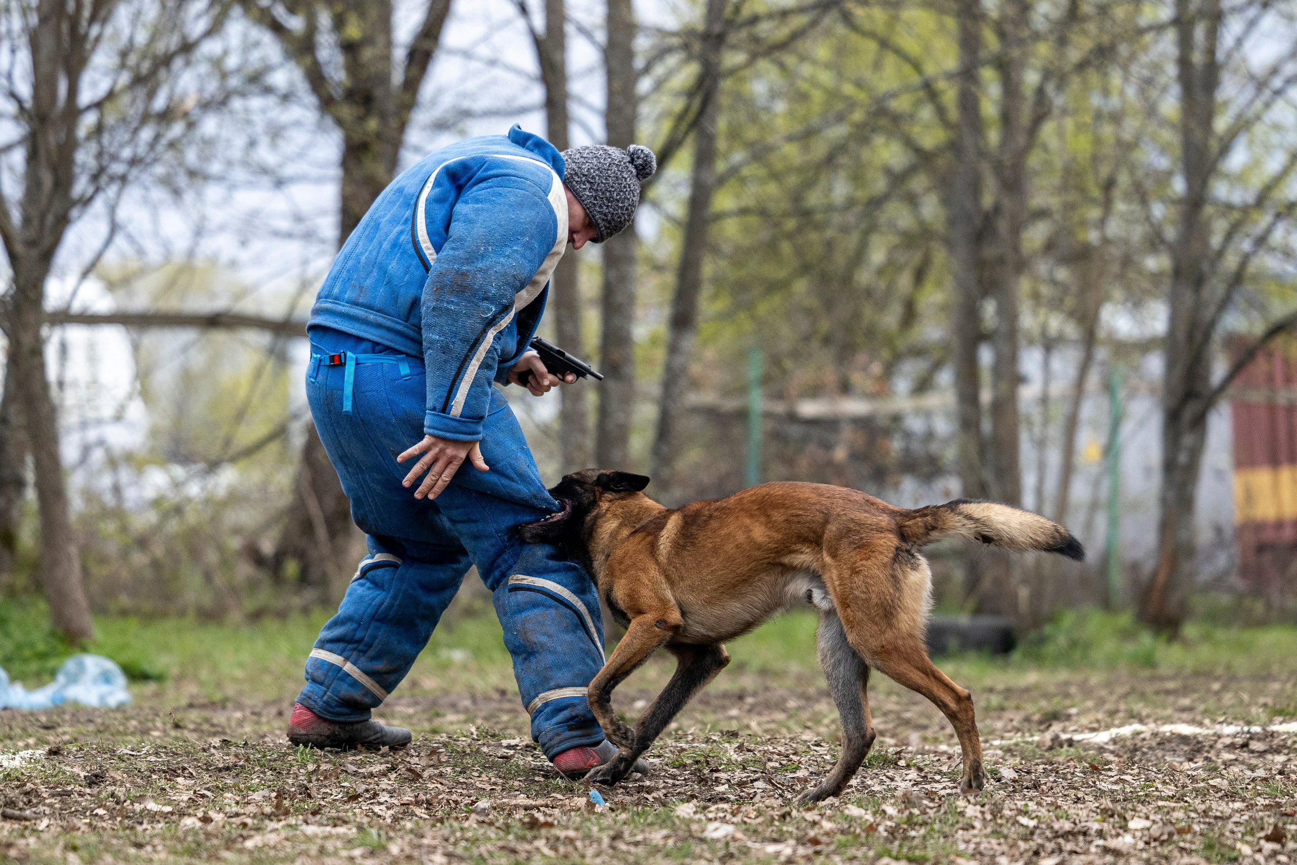Квалификационные состязания по мондьорингу г. Вологда 11.05.24. Фотограф-анималист Анна Маринич