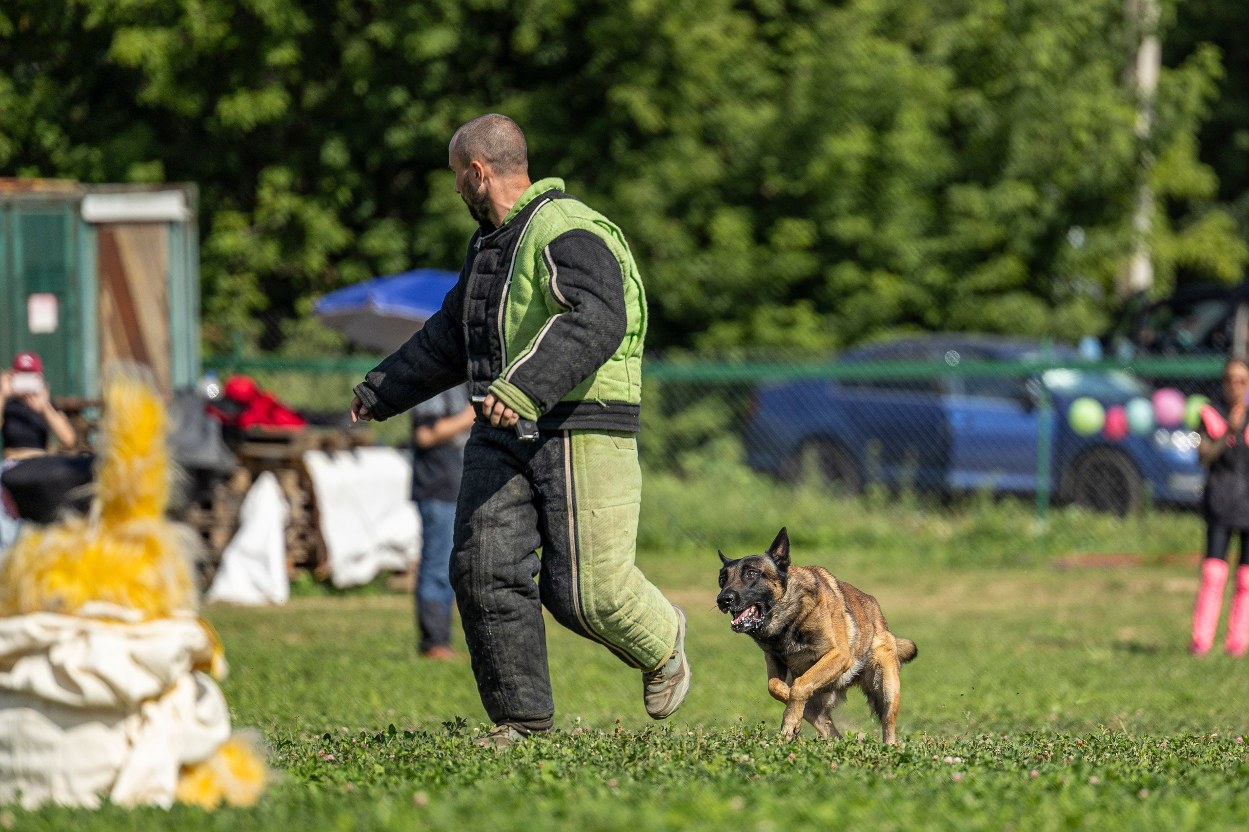 Соревнования по Мондьорингу г. Вологда 10-11.08.2024. Фотограф-анималист Анна Маринич