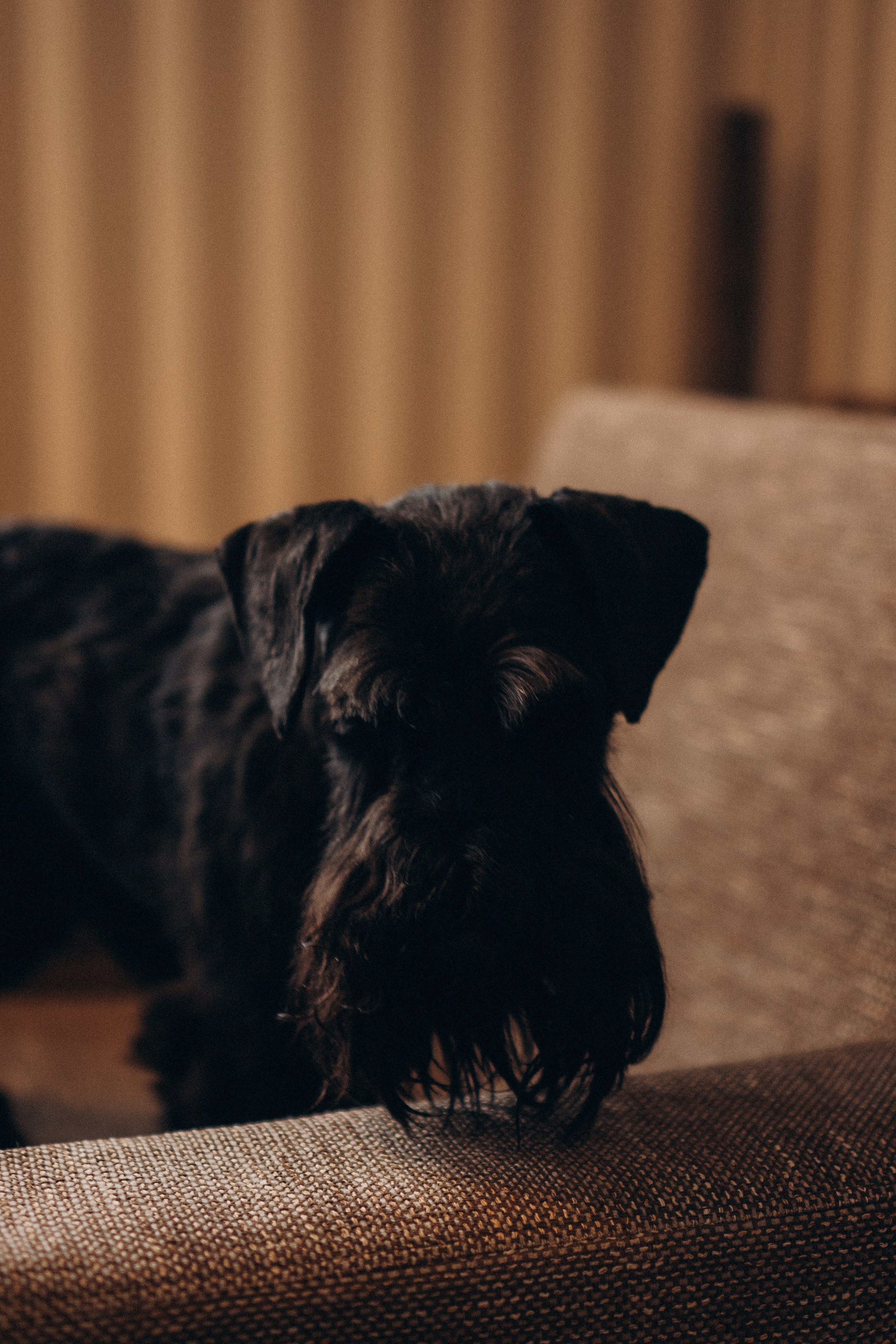 ДЕНЬ РОЖДЕНИЯ. Профессиональный фотограф, Санкт-Петербург — Виктория Богомолова