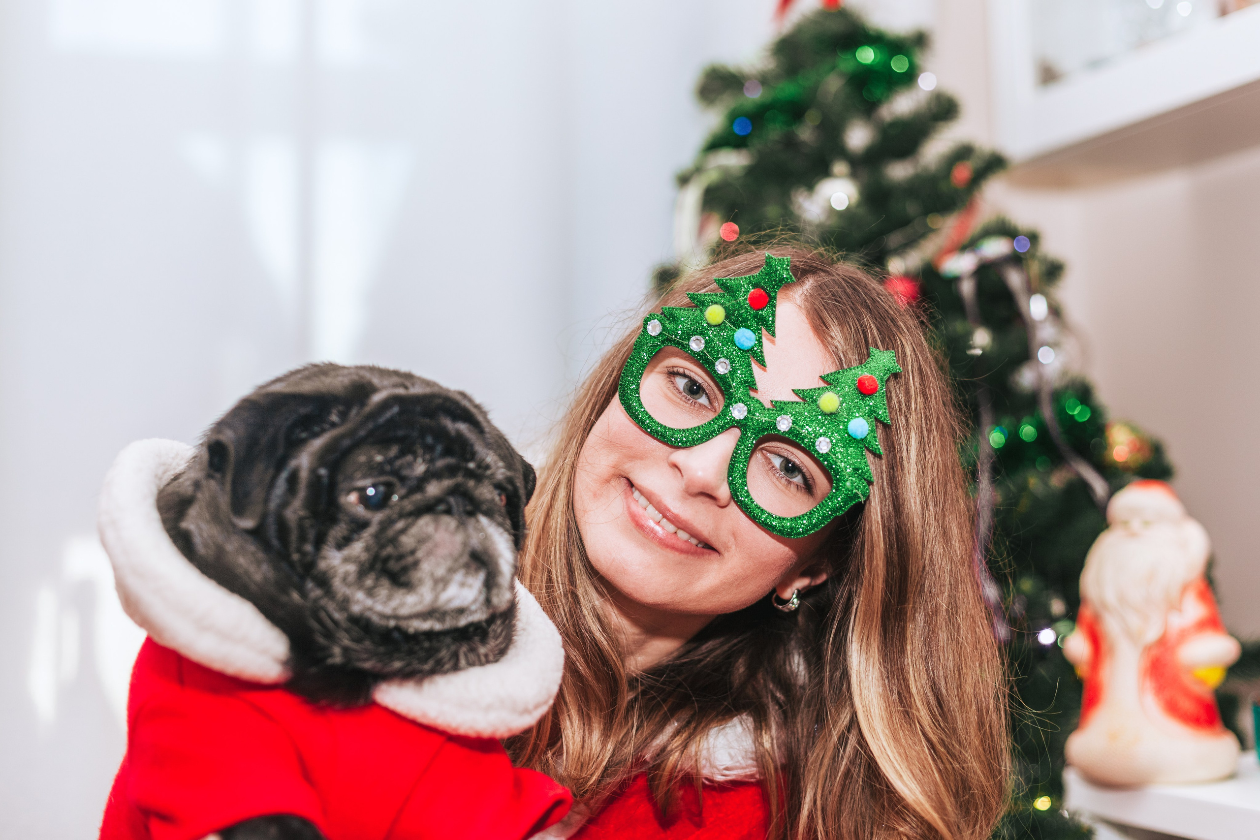 Домашняя фотосессия Оли и двух ее мопсов. Фотограф-анималист Татьяна Степанова