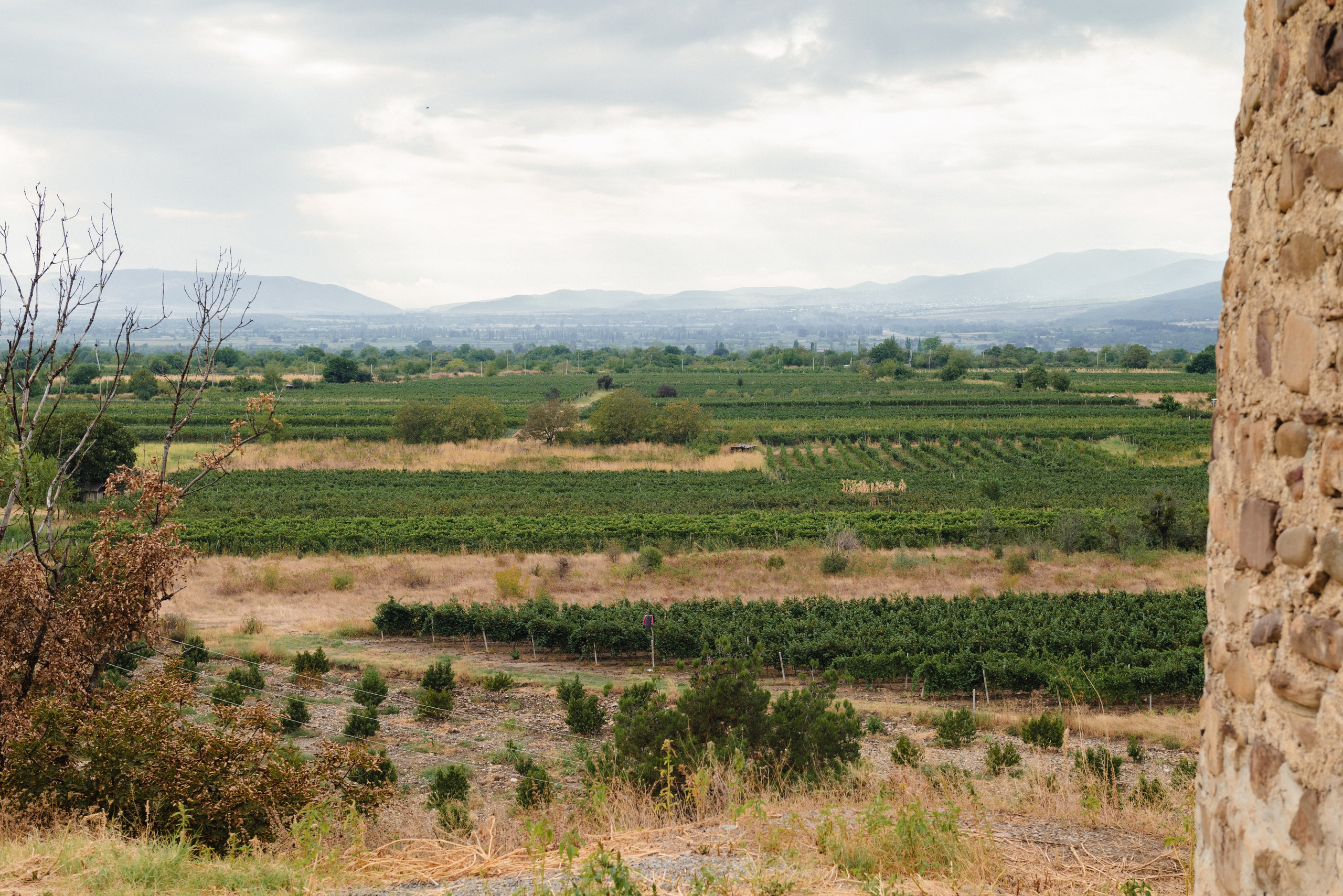Vip personal photo tour Tbilisi. Lika Gomiashvili photography Georgia Tbilisi