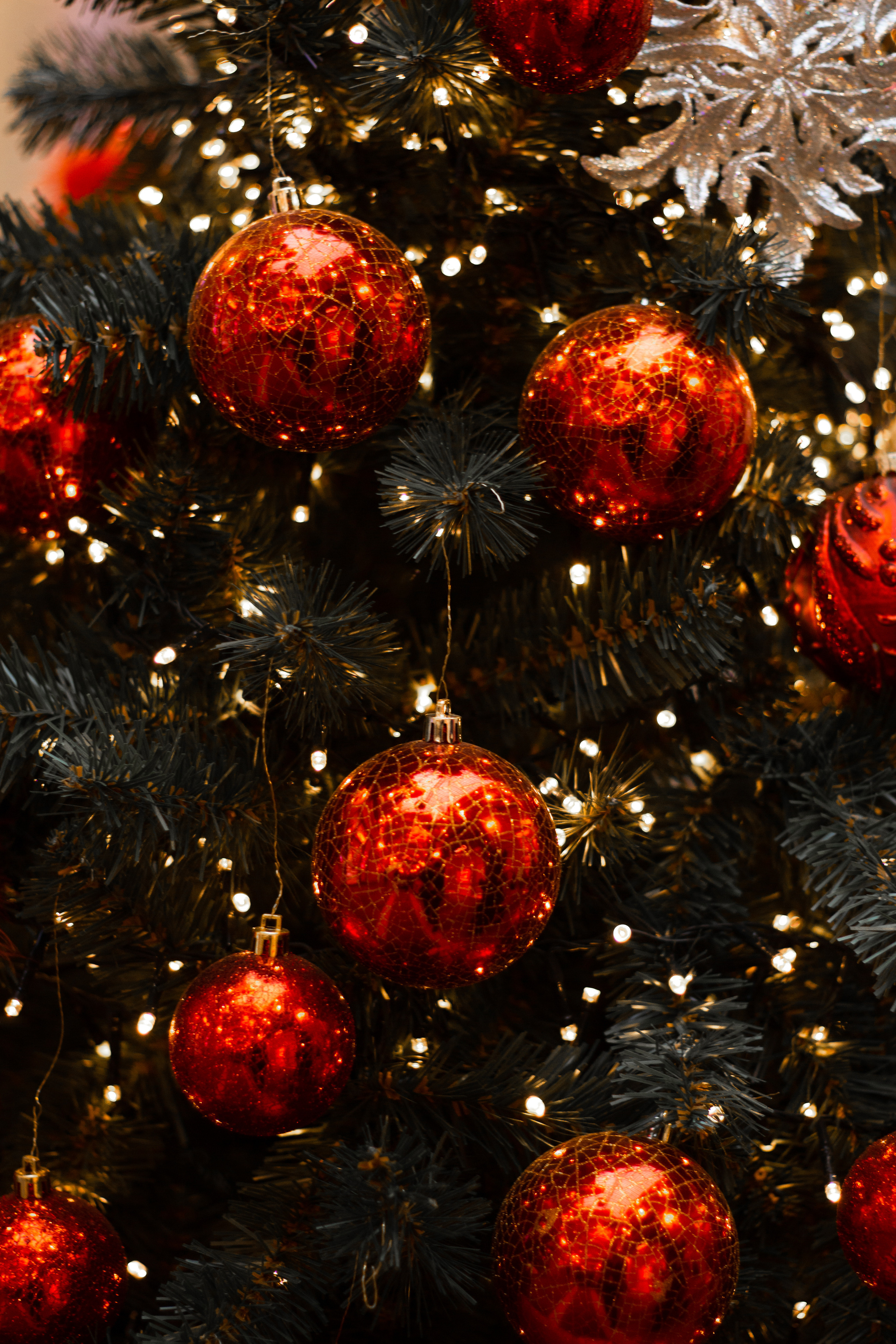 Юлия. Фотограф Наталия Федосова, г. Москва. TG и Instagram @nataliya_raw