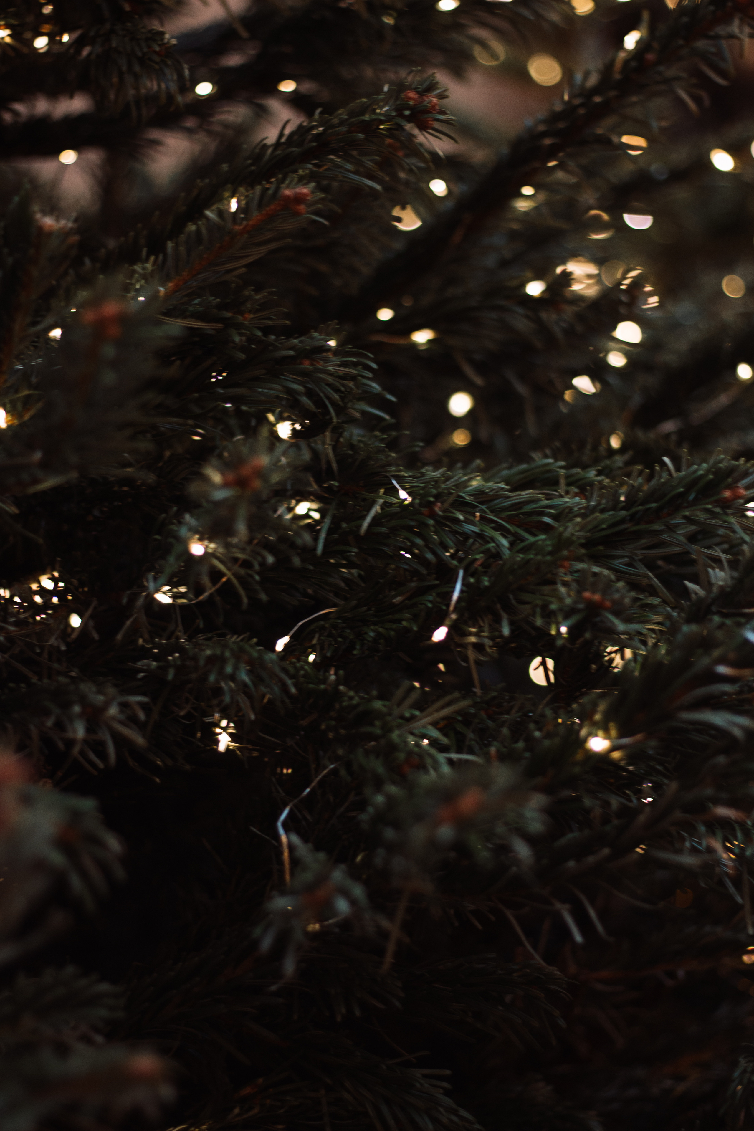 Юлия. Фотограф Наталия Федосова, г. Москва. TG и Instagram @nataliya_raw