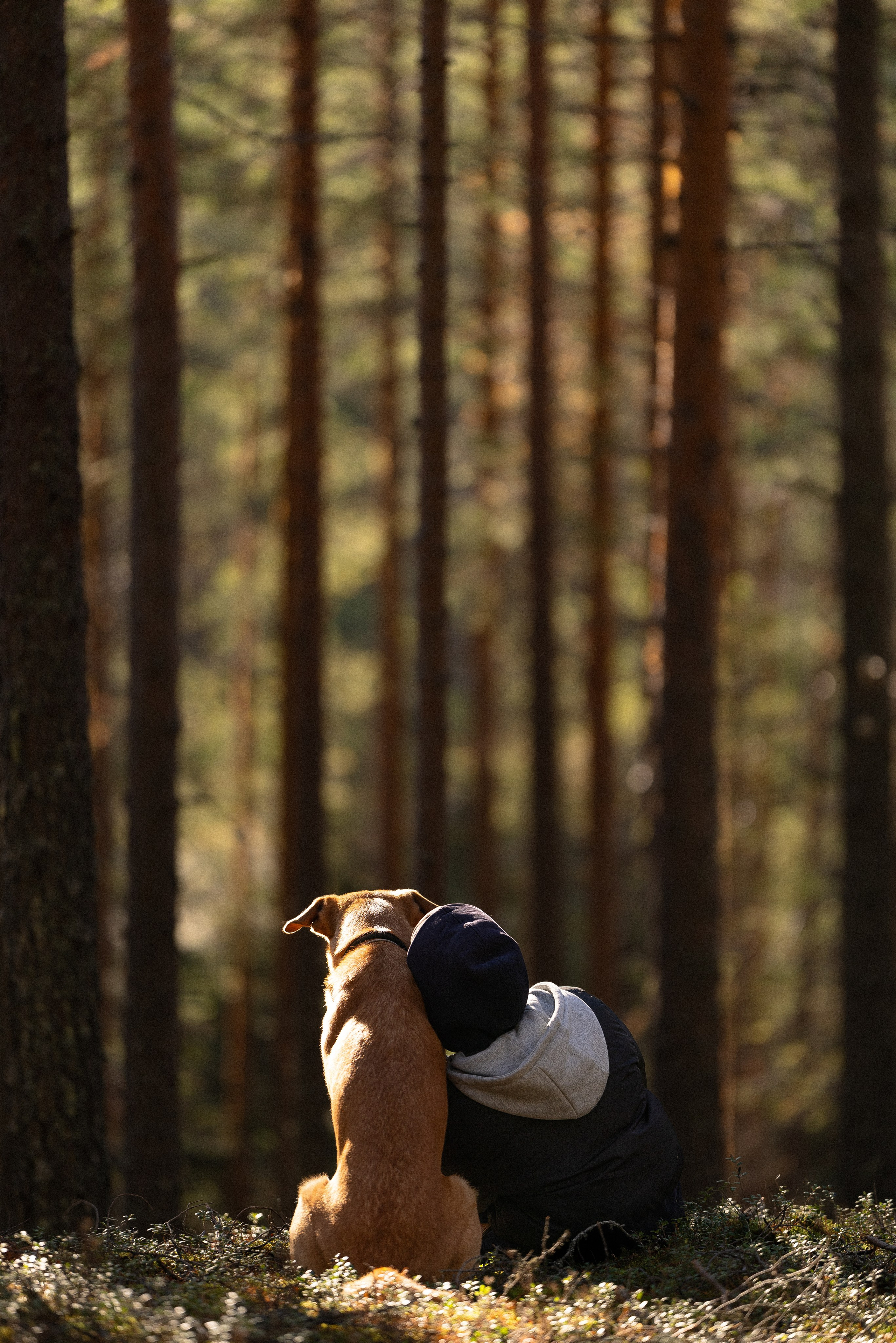 Karelia. Фотограф и видеограф анималист Аганина Дарья