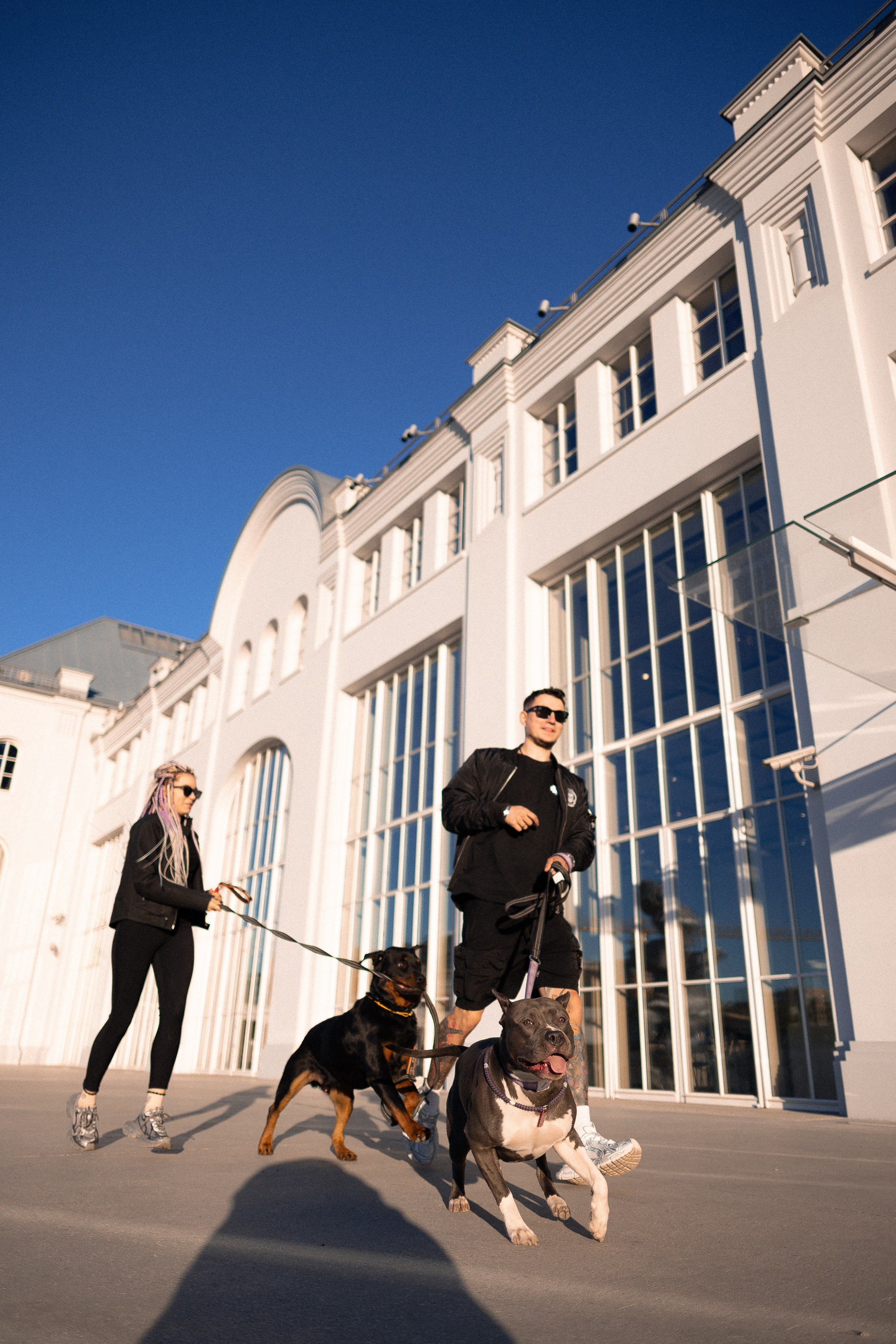 Катя, Леша, Трой и Лея. Фотограф и видеограф анималист Аганина Дарья