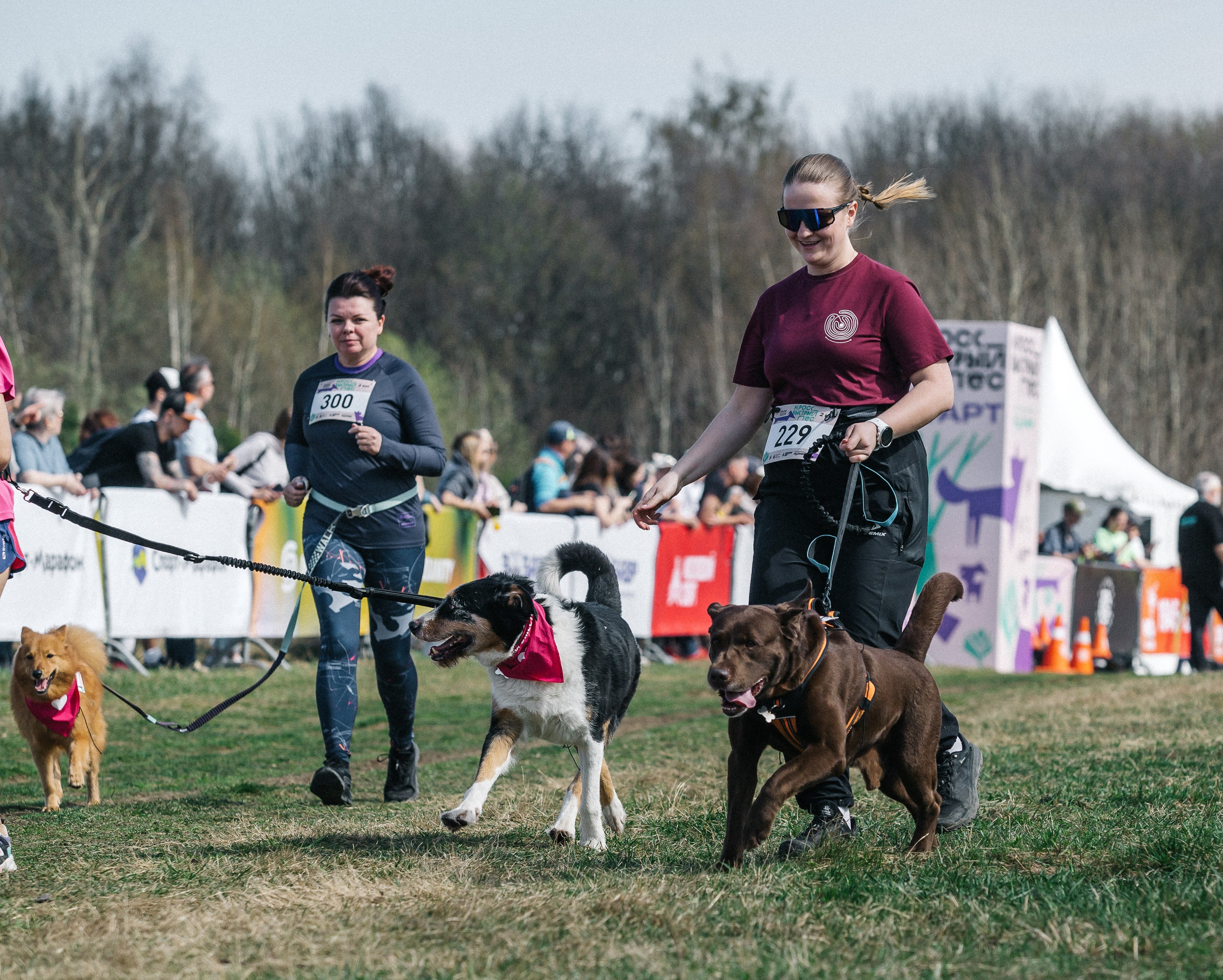 Кросс «Быстрый пёс» 2025. Репортажный фотограф в Москве