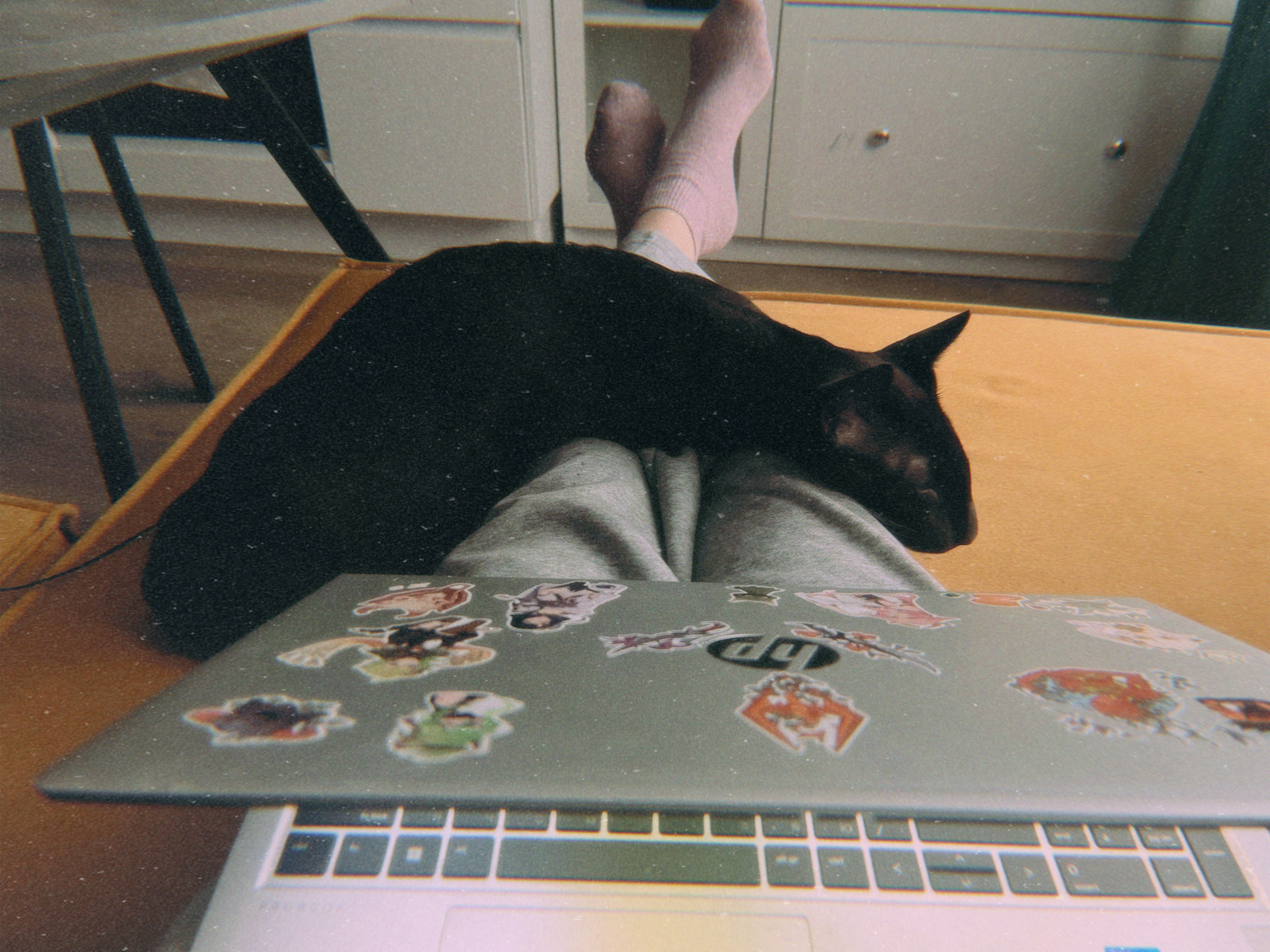 Визуальный дневник. Портретный фотограф в Москве Гахраманова Екатерина