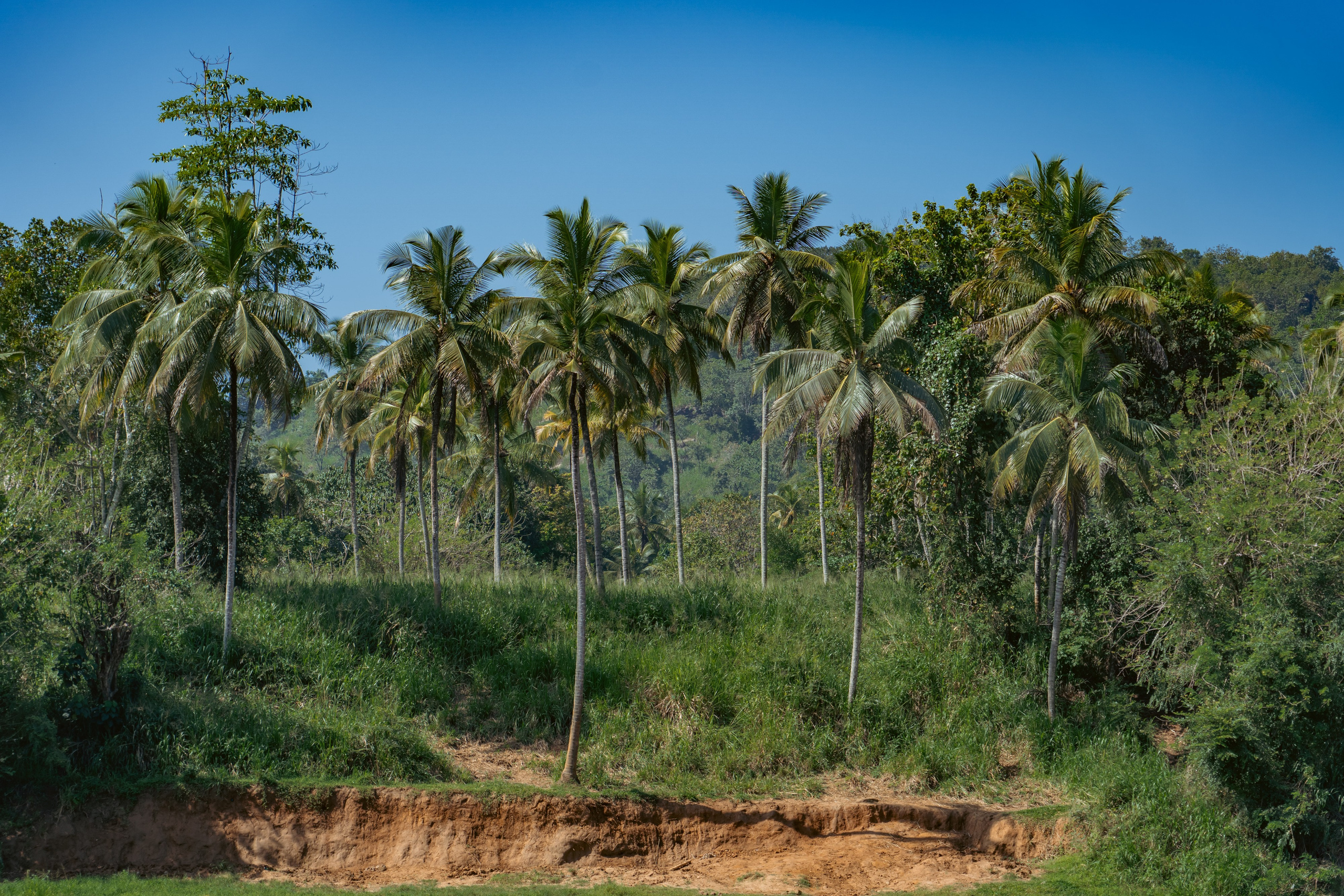 Promo content shooting for Ceylon Forward Tours