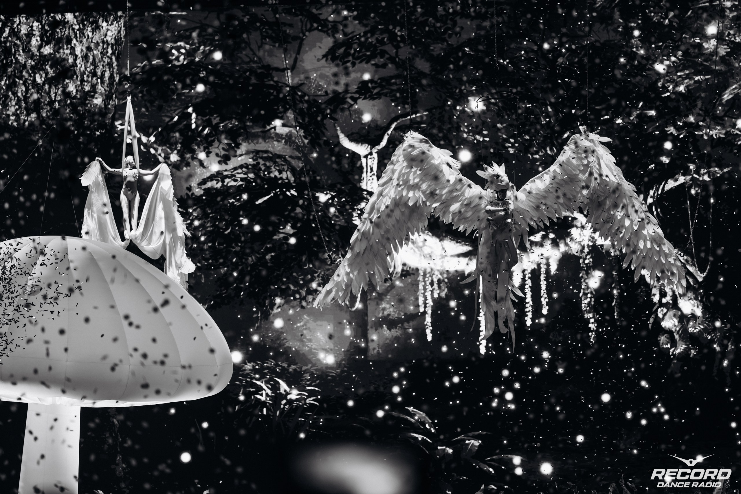 БЕЛАЯ. Репортажный фотограф Санкт-Петербург