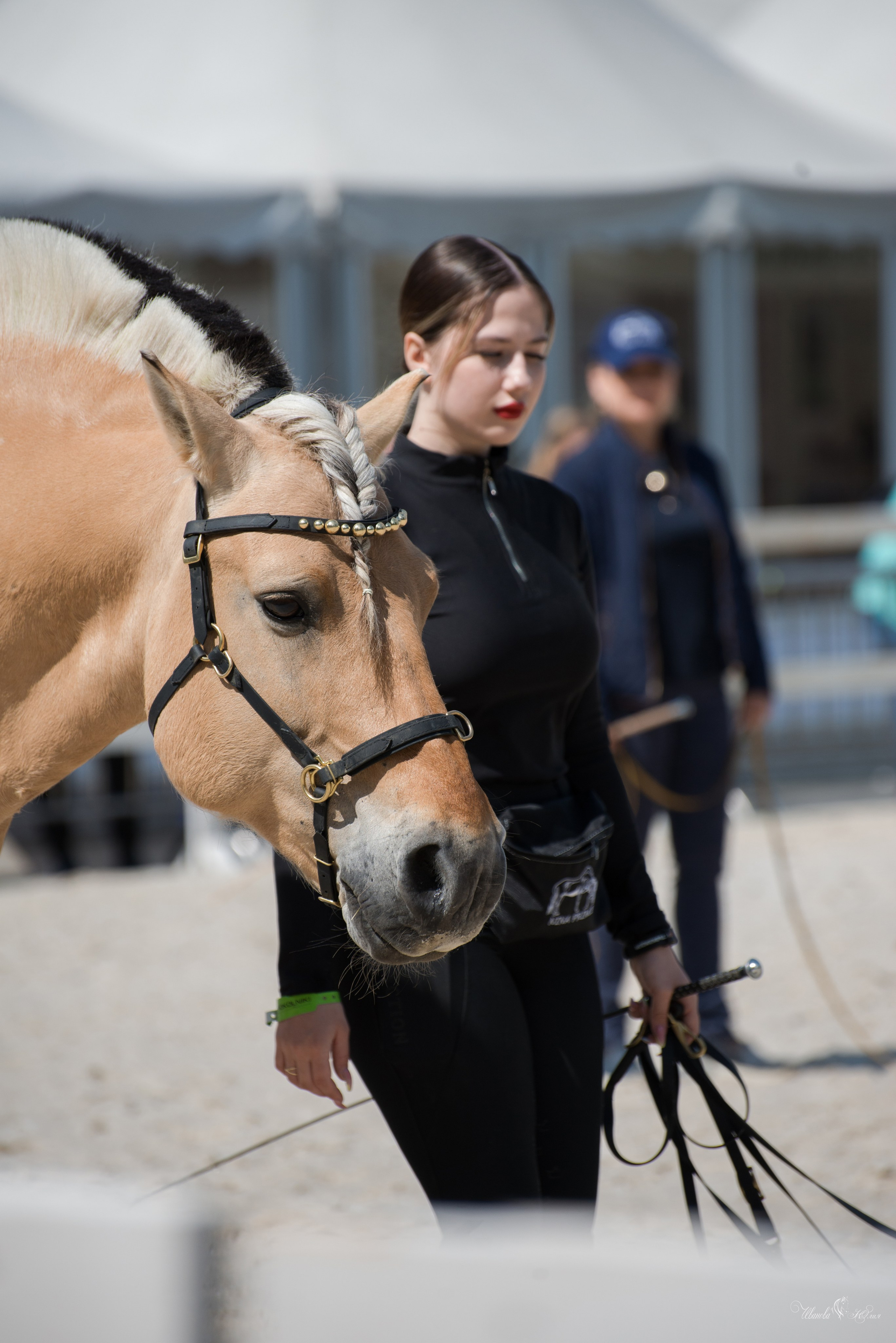 Эквирос, Москва. Конный фотограф в Саратове Юлия Иванова