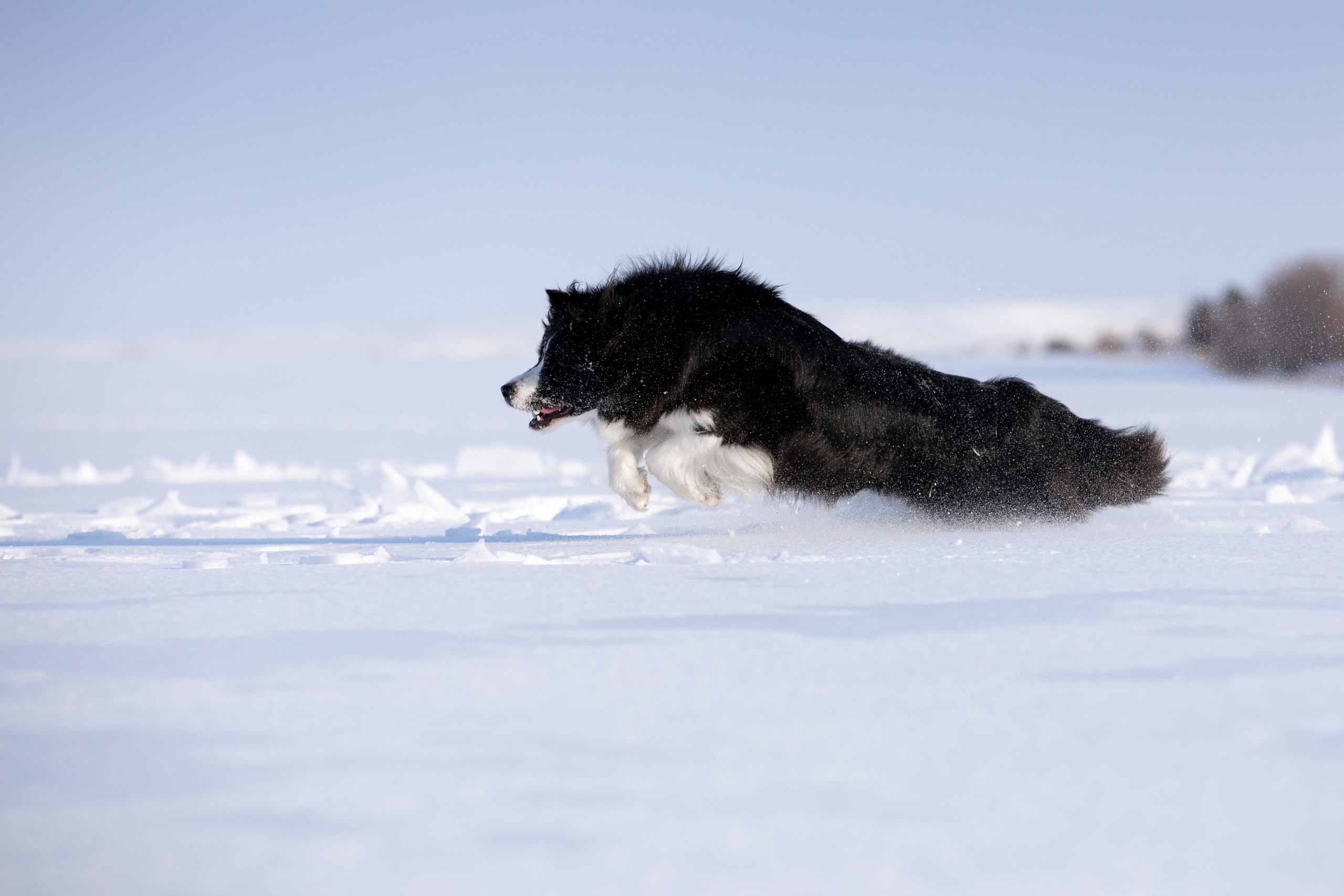Мороз и солнце. О нас