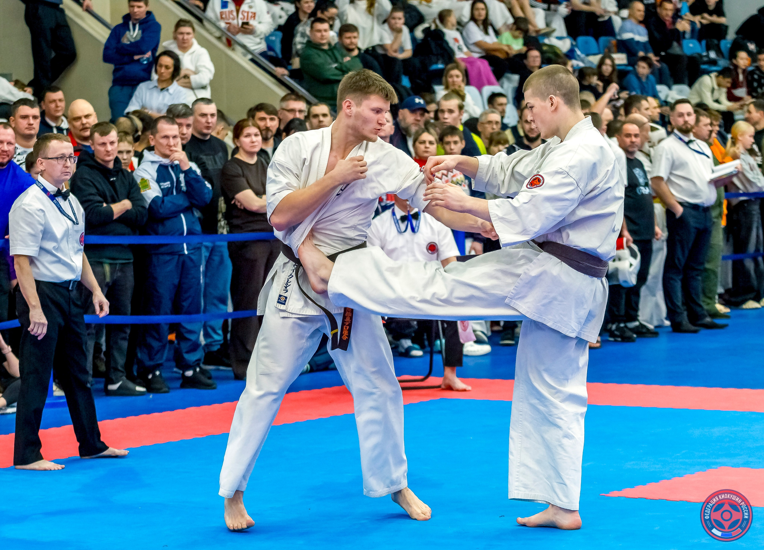 Международный турнир по киокушин «Открытый кубок Seiken». Репортажная съемка в Москве и области. Анималистика