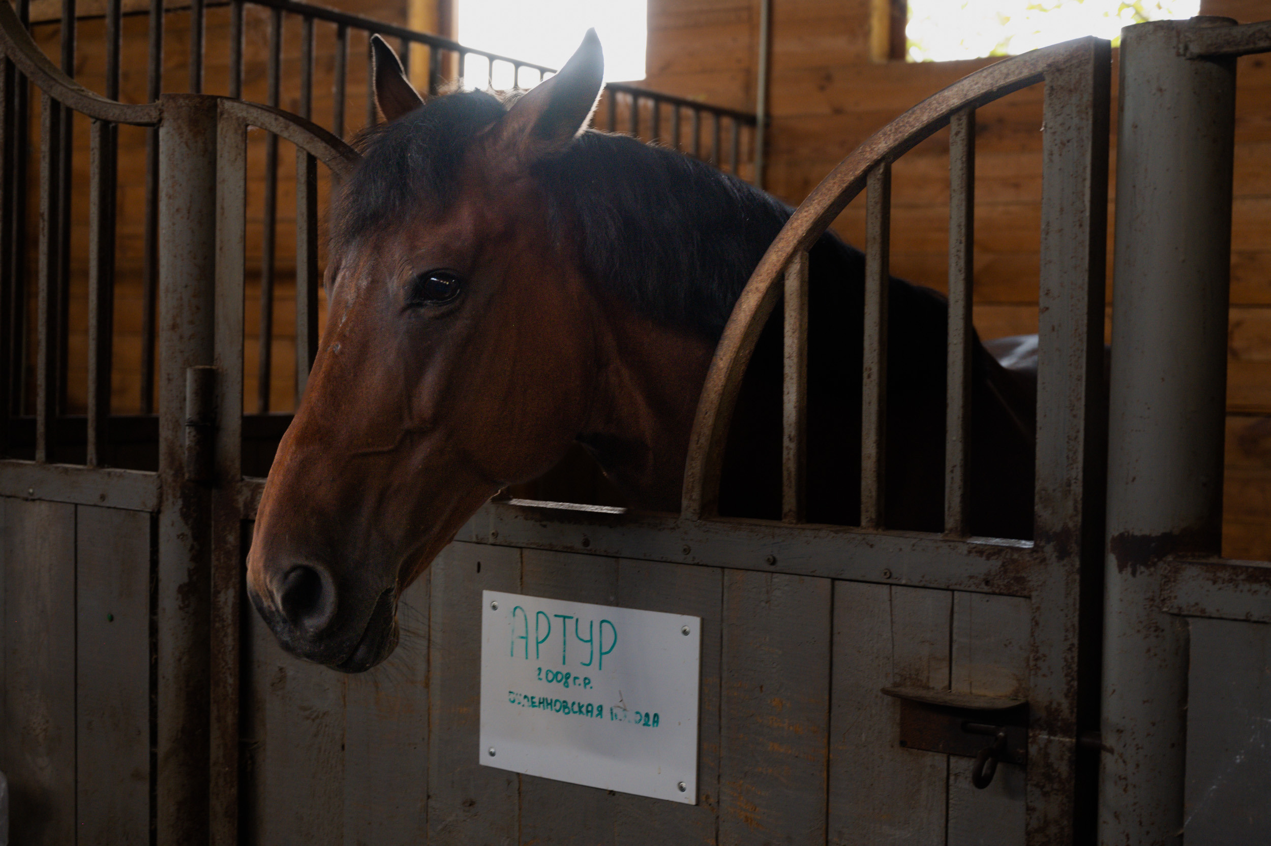 Ферма «ЭКЗАРХО» 20.09.2023 г. Фотографирую счастливых людей в Сочи