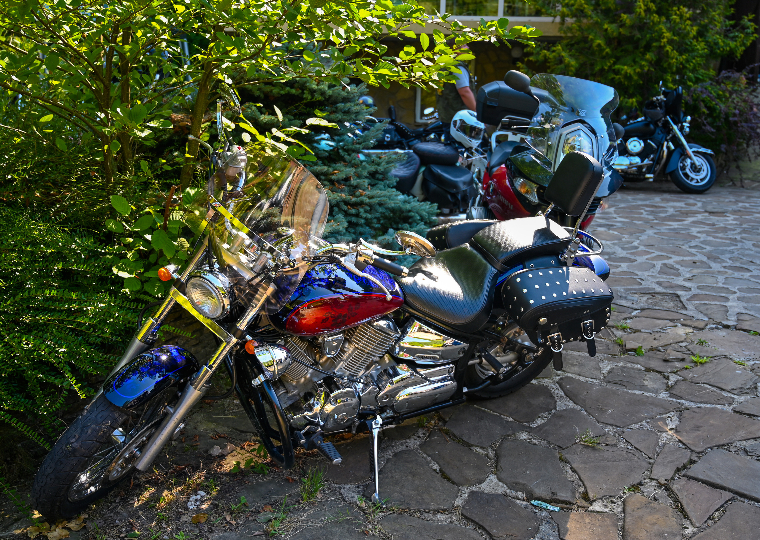 «Медвежий угол» 2021. Фотографирую счастливых людей в Сочи