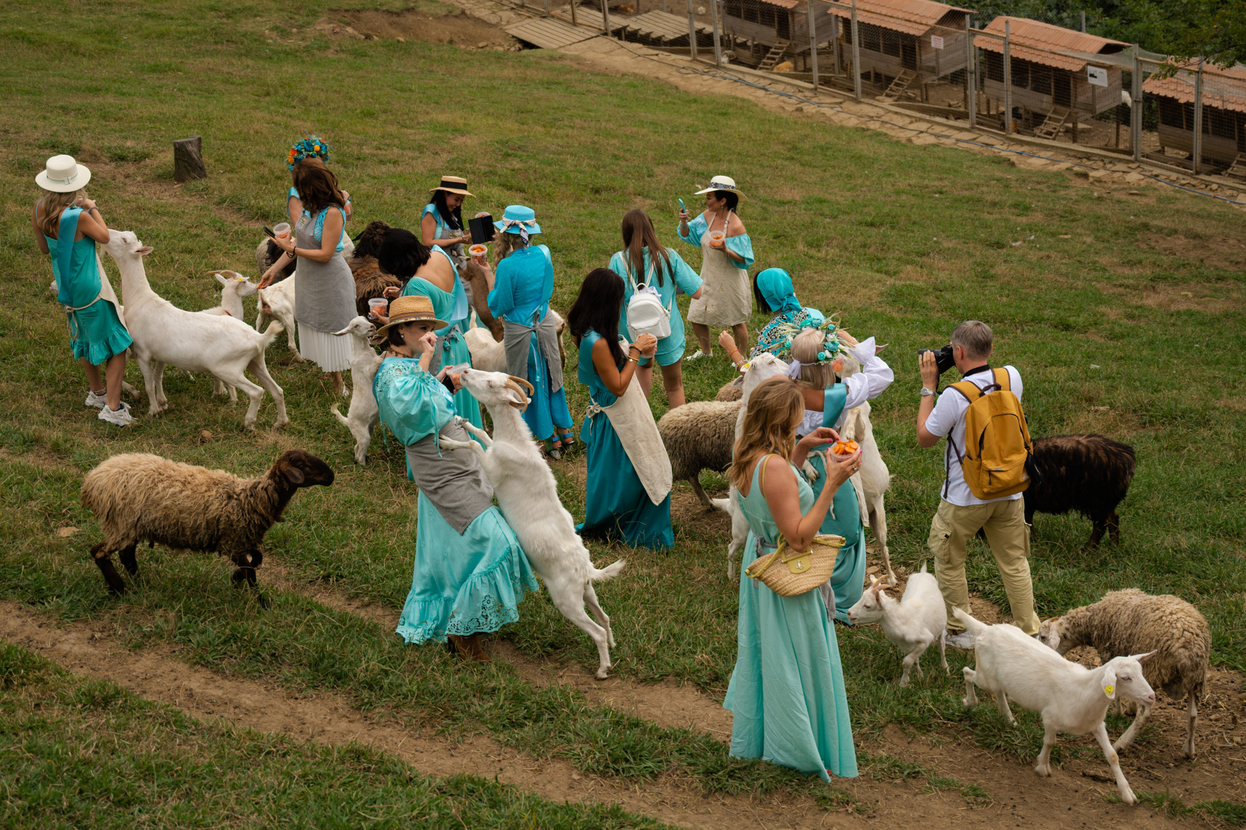 Ферма «ЭКЗАРХО» 20.09.2023 г. Фотографирую счастливых людей в Сочи