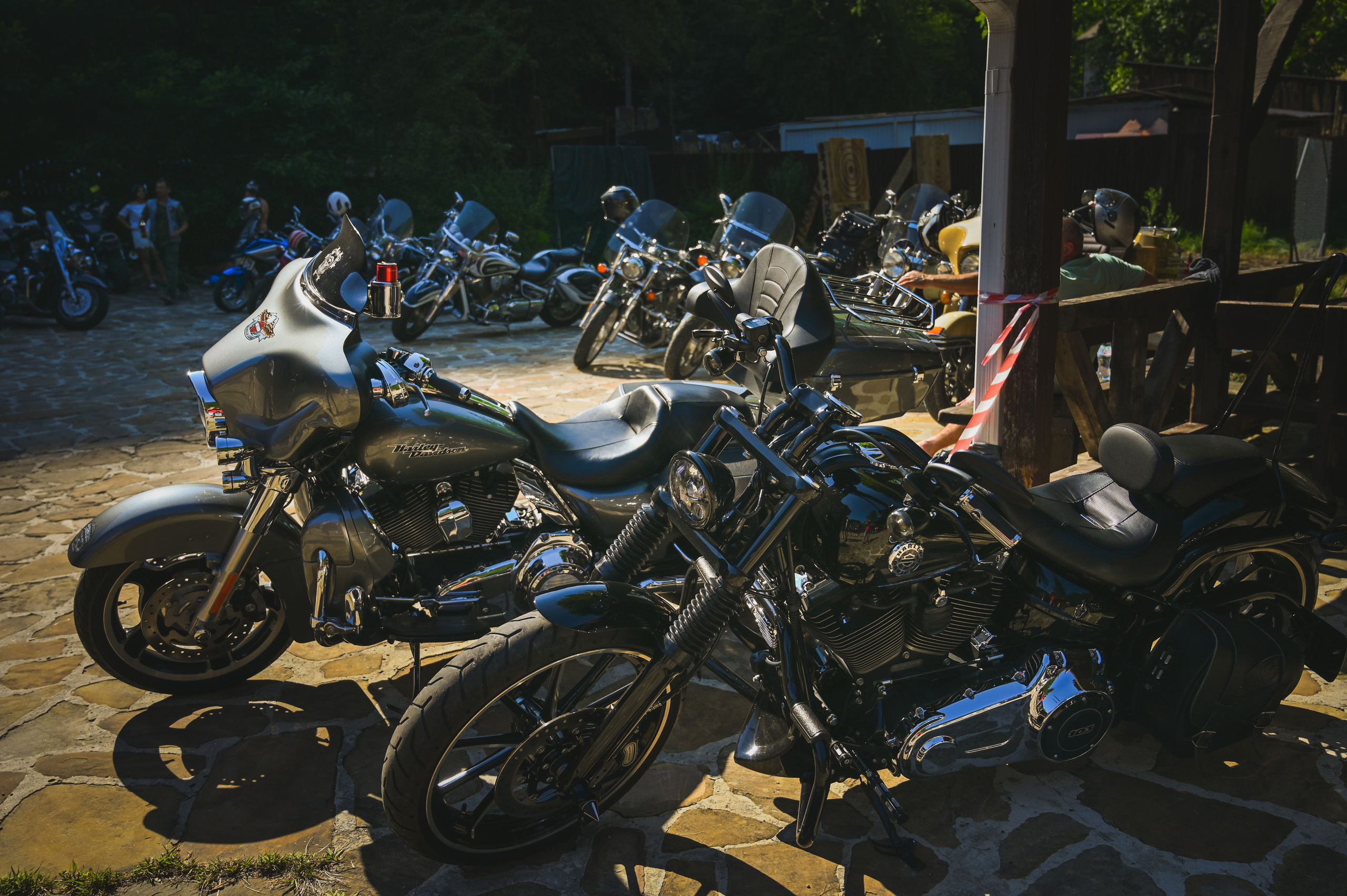 «Медвежий угол» 2021. Фотографирую счастливых людей в Сочи