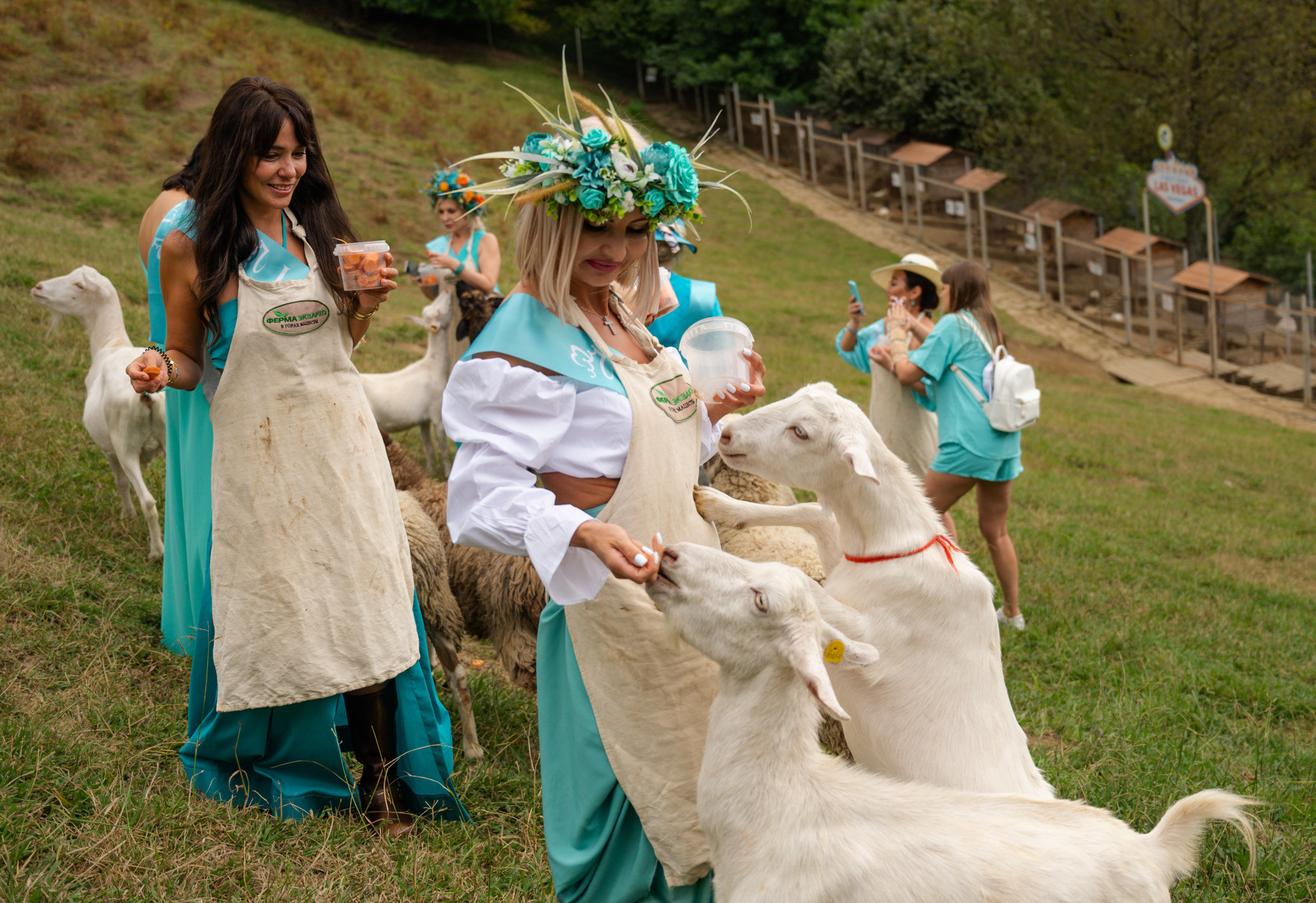 Ферма «ЭКЗАРХО» 20.09.2023 г. Фотографирую счастливых людей в Сочи