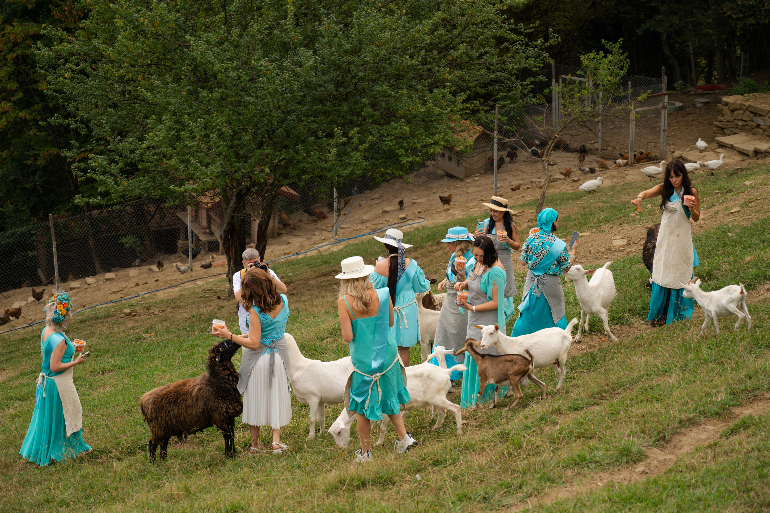 Ферма «ЭКЗАРХО» 20.09.2023 г. Фотографирую счастливых людей в Сочи