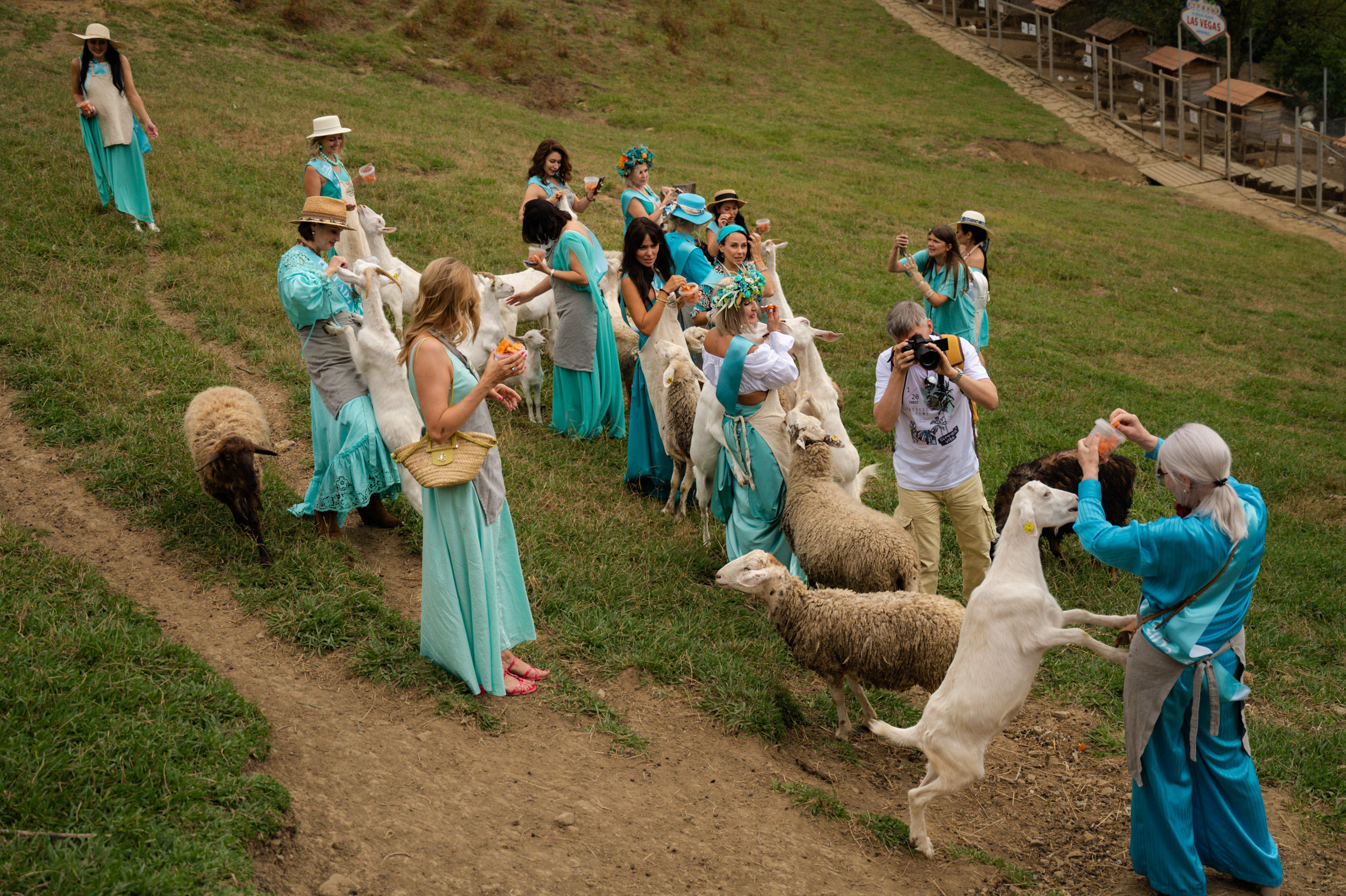 Ферма «ЭКЗАРХО» 20.09.2023 г. Фотографирую счастливых людей в Сочи