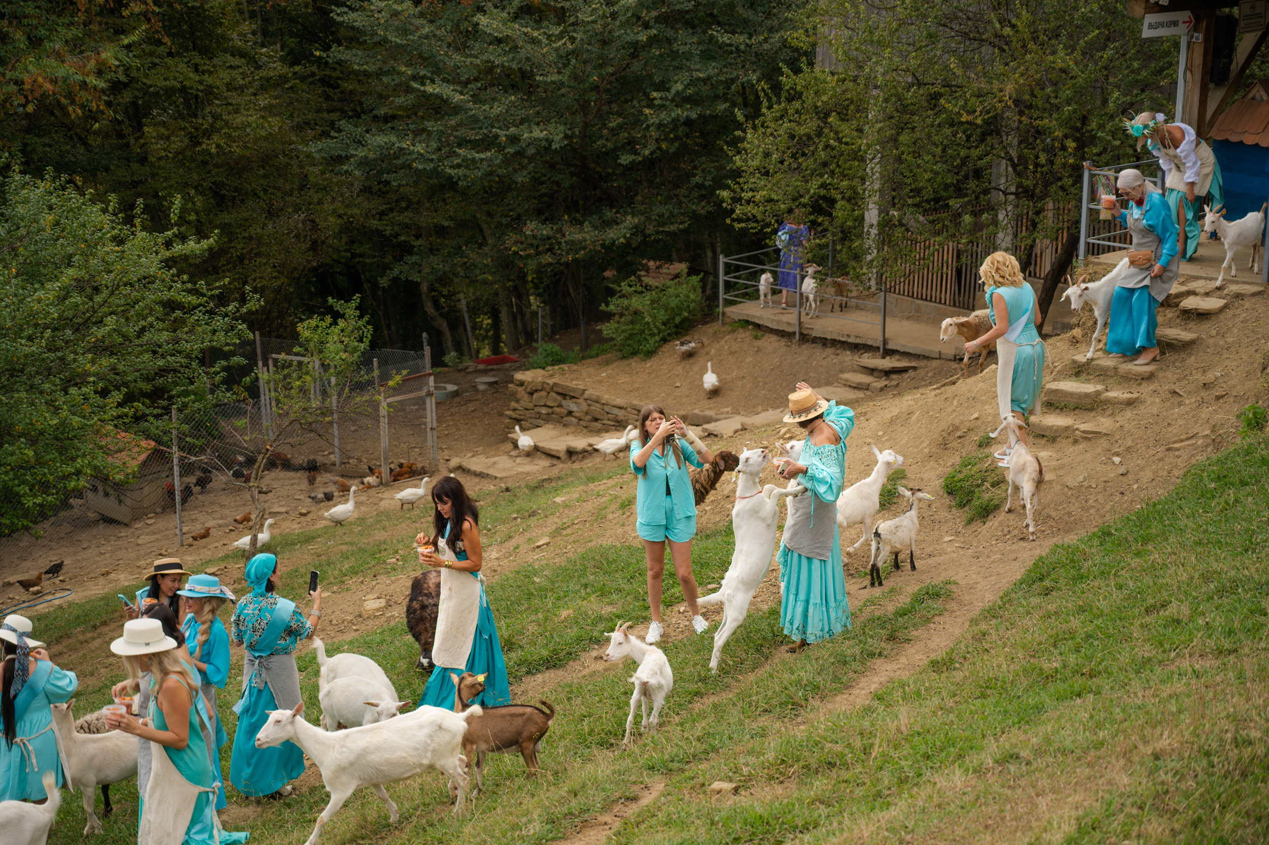 Ферма «ЭКЗАРХО» 20.09.2023 г. Фотографирую счастливых людей в Сочи