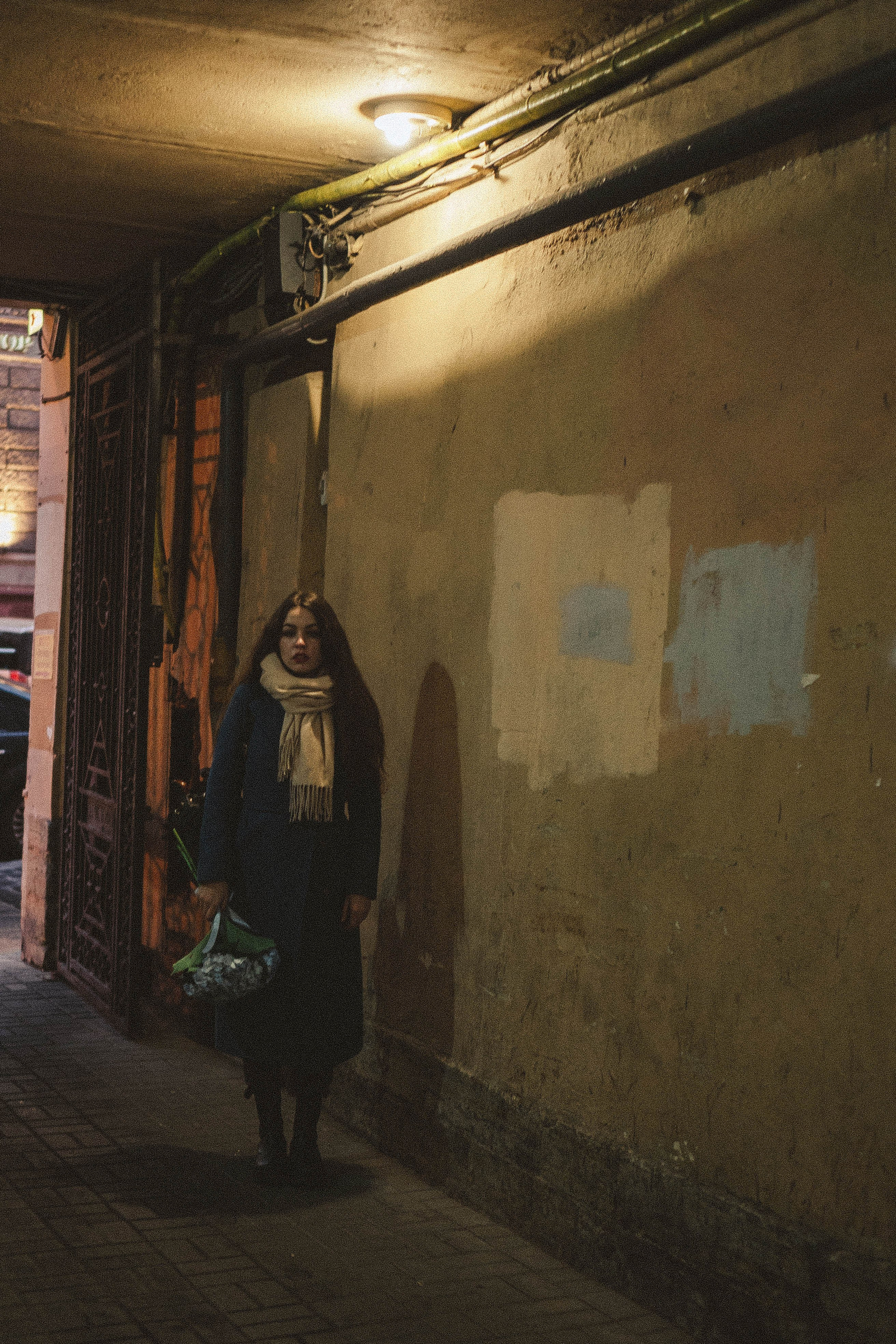 Прогулочная в центре. Профессиональный фотограф, Санкт-Петербург — Виктория Богомолова