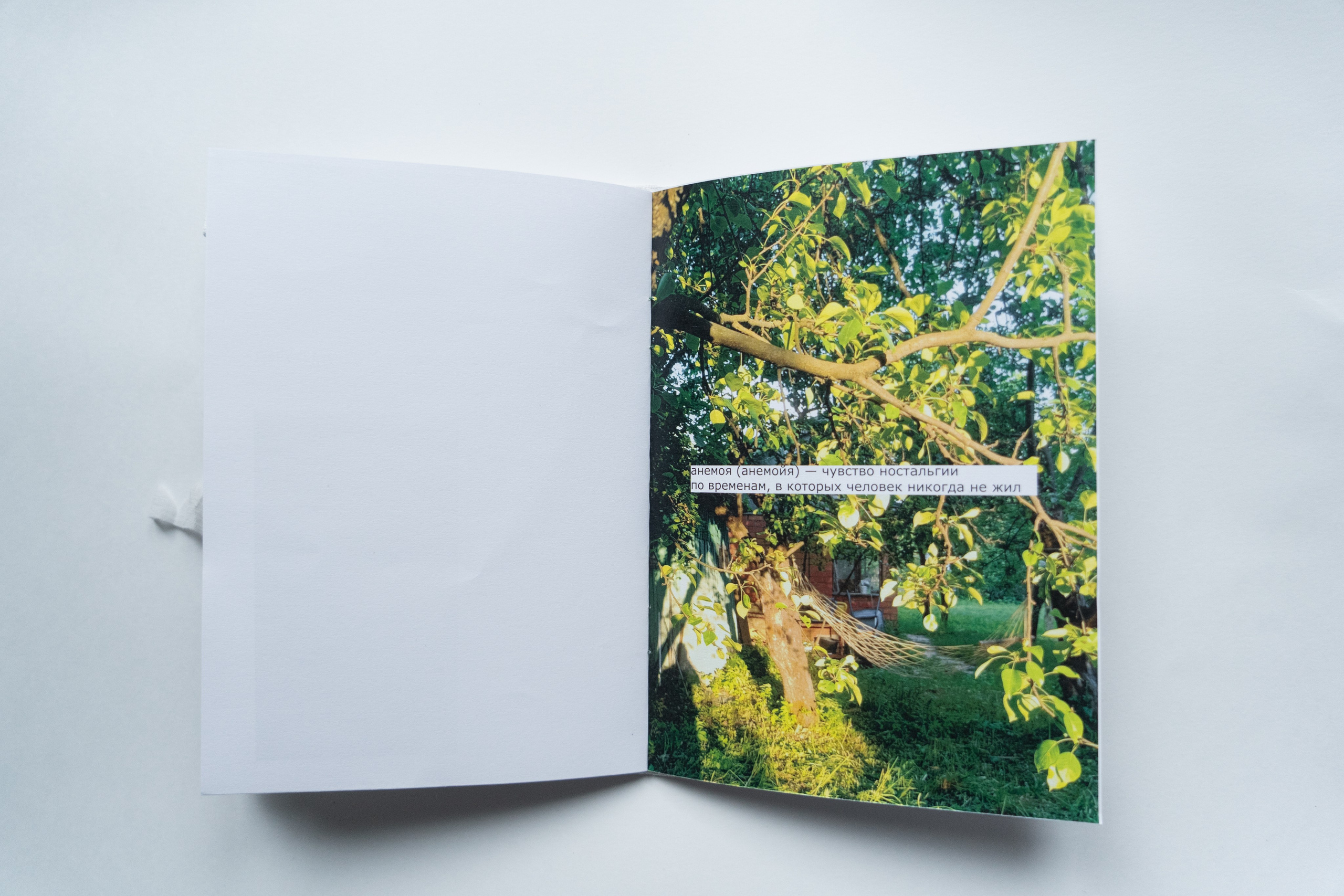 7 дней лета. Козлова Екатерина. Междисциплинарная визуальная художница