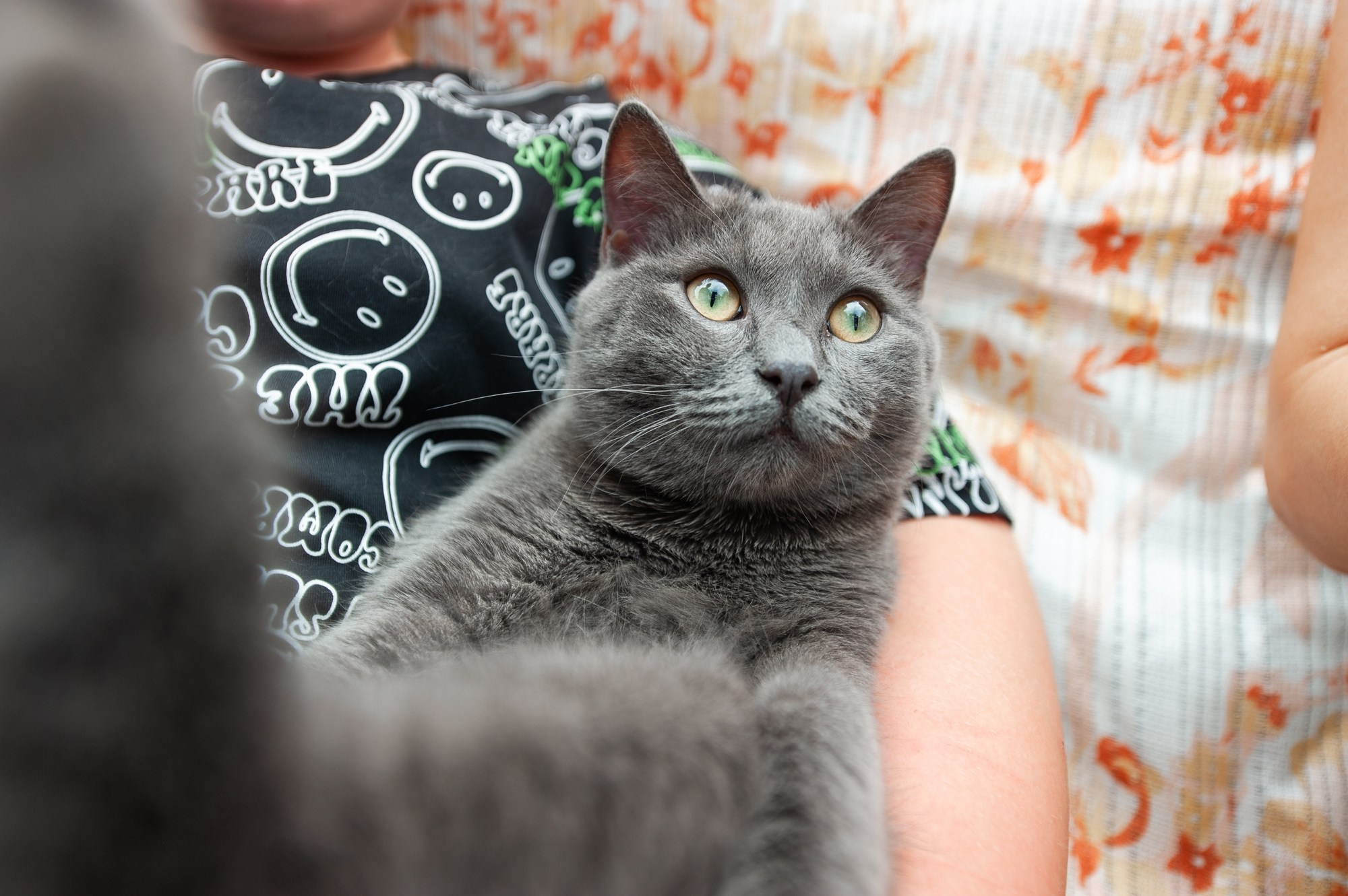 ЗАГС, парк и две студии. Свадебный и семейный фотограф в Омске Мормулев Михаил