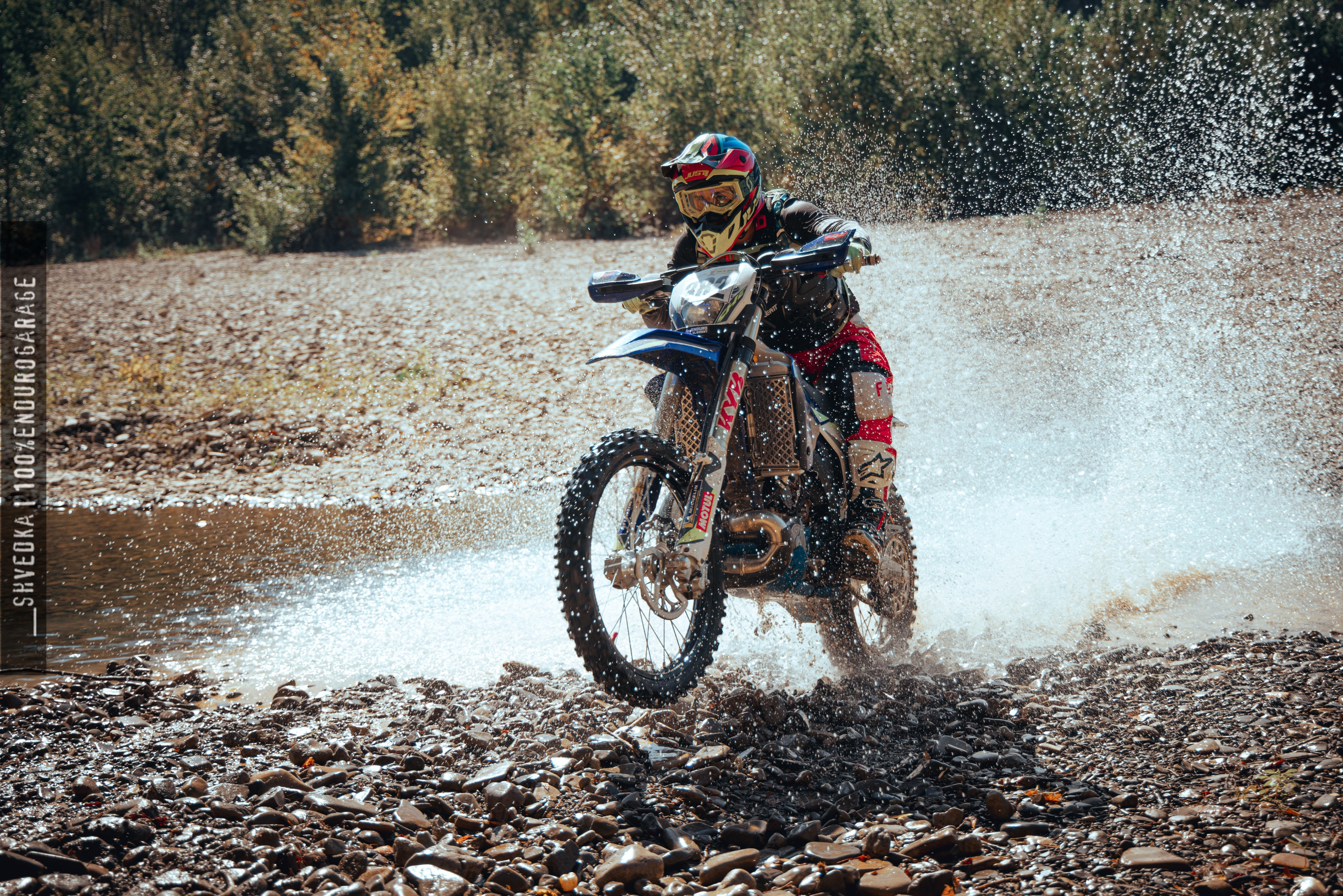 1 лесной день. Ваш экстрим фотограф Кудрева Яна