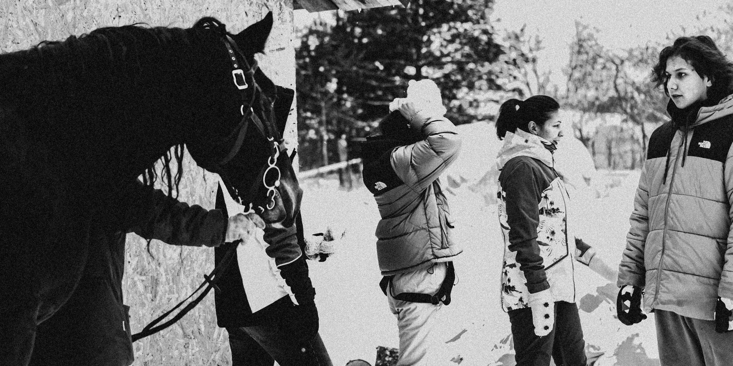Миниферма в Теребочево. Свадебный и семейный фотограф в г. Волхов Алексей Кочерыжкин