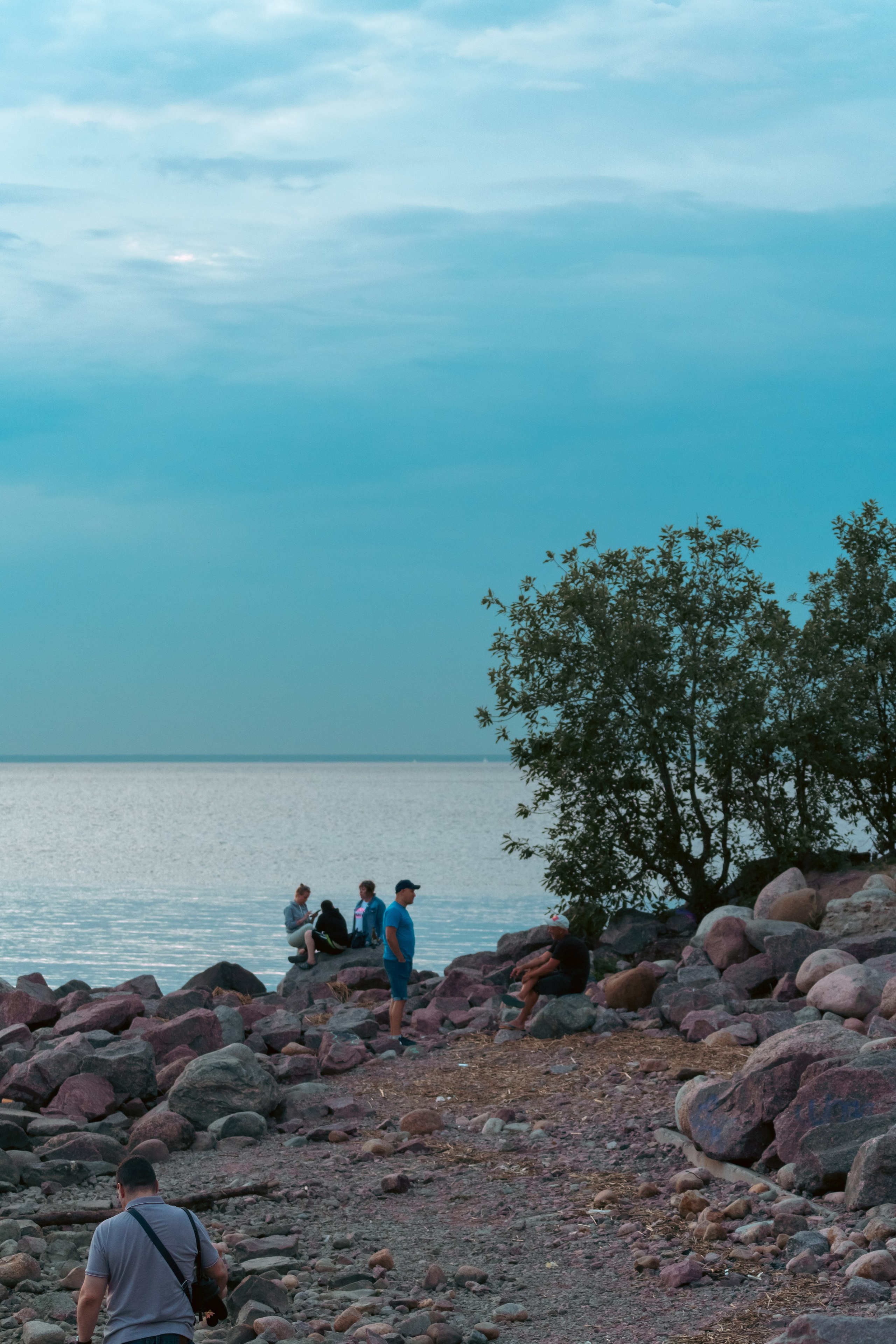 Природа. Фотограф в Санкт-Петербурге Ибрагимова Алина