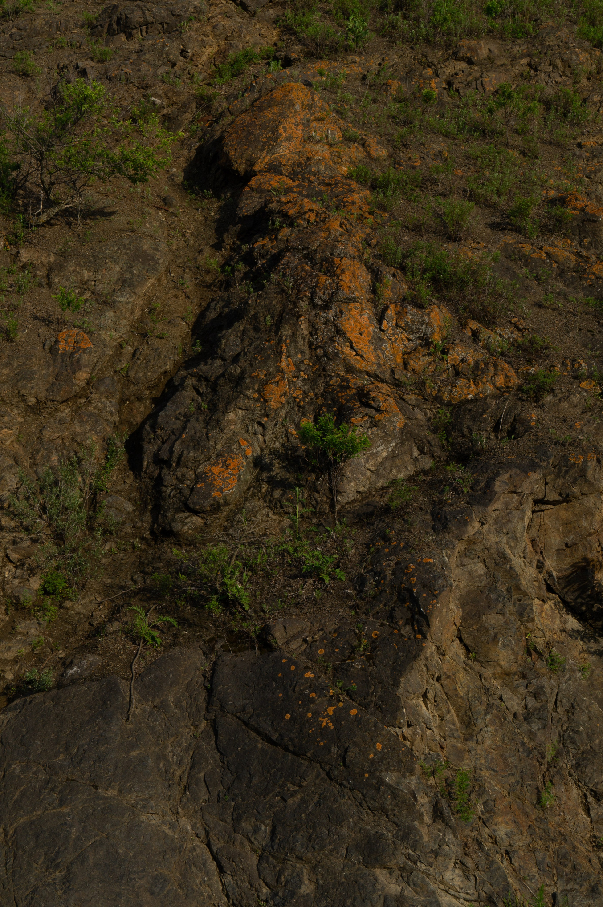 дачи, город, архитектура, стрит, репортажная фотография, фотография, Хабаровск, фотосессия, фотограф, дом, новостройка, улицы, жизнь города, town, art, photo, photographer, photo, Khabarovsk, Far East, street photo, природа, Дальний Восток, тайга, цветы, закат, небо, облака, nature, clouds, forest, flower, sunset, river, река