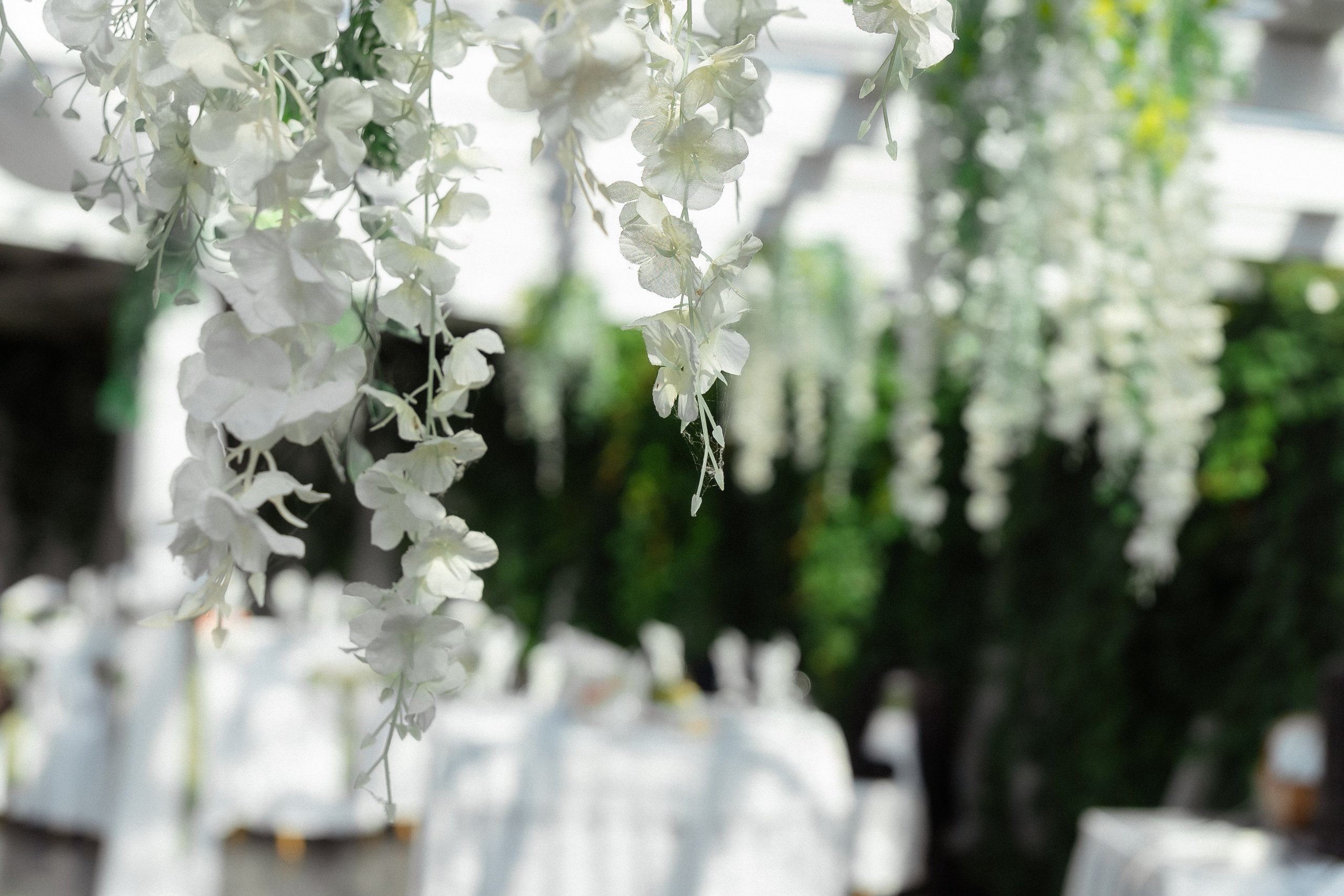 Владимир и Ева. Фотограф Новосибирск Вероника Вишневская