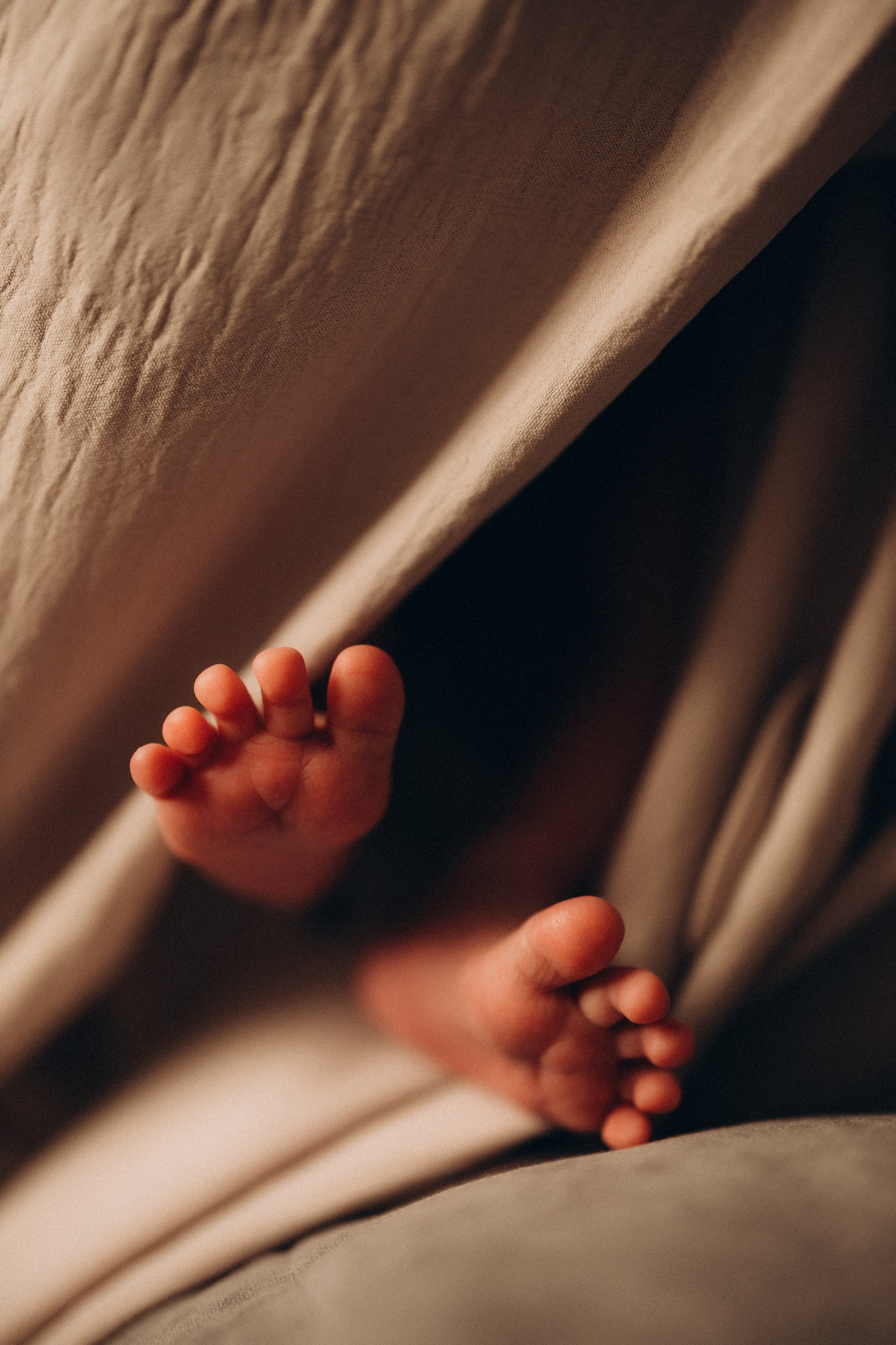 Платон. Евгения Пелипас