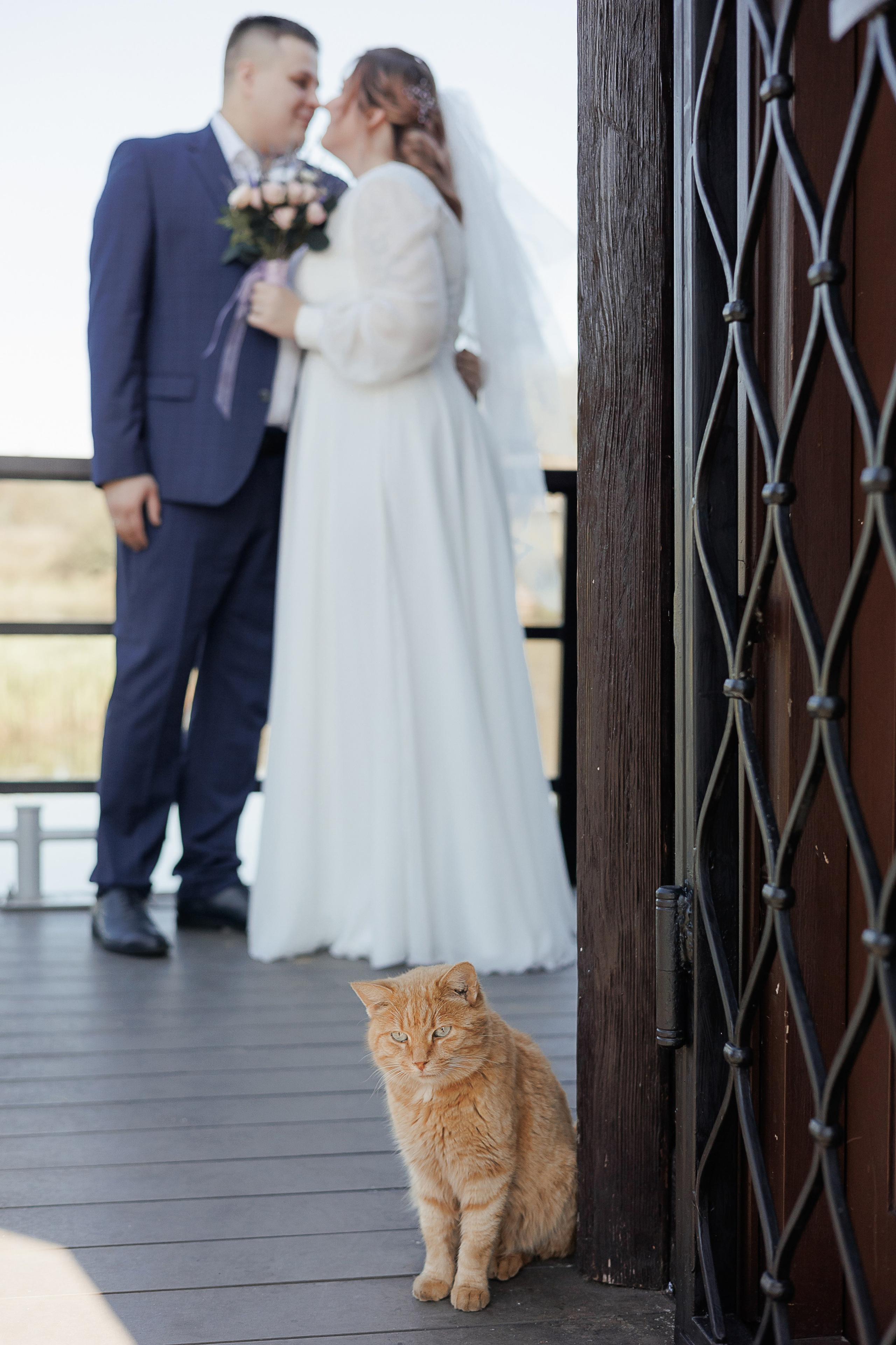 Свадьба Марины и Андрея. Свадебный и семейный фотограф в Твери и Тверской области