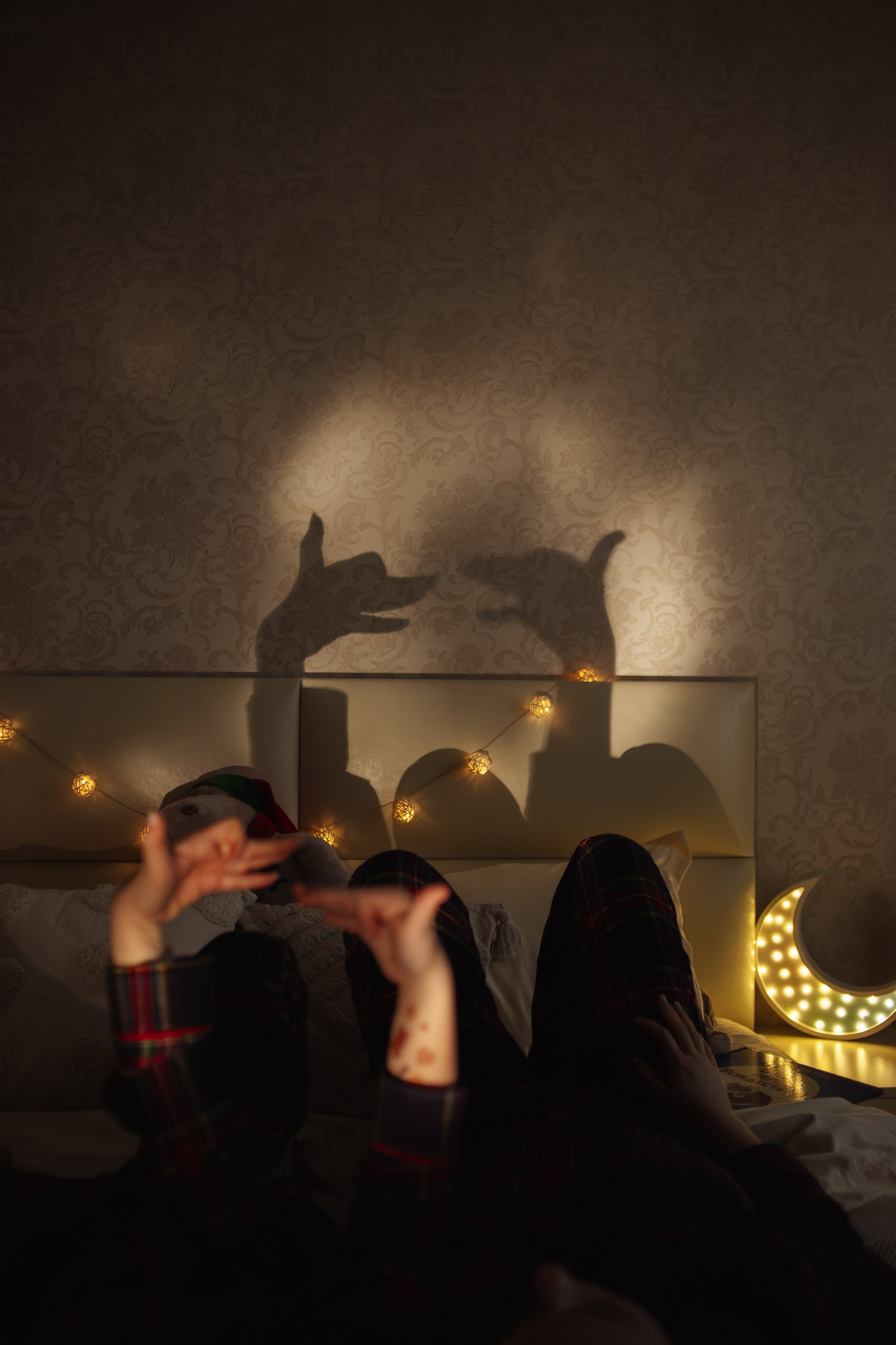 Домашняя. Фотограф Москва / Балашиха