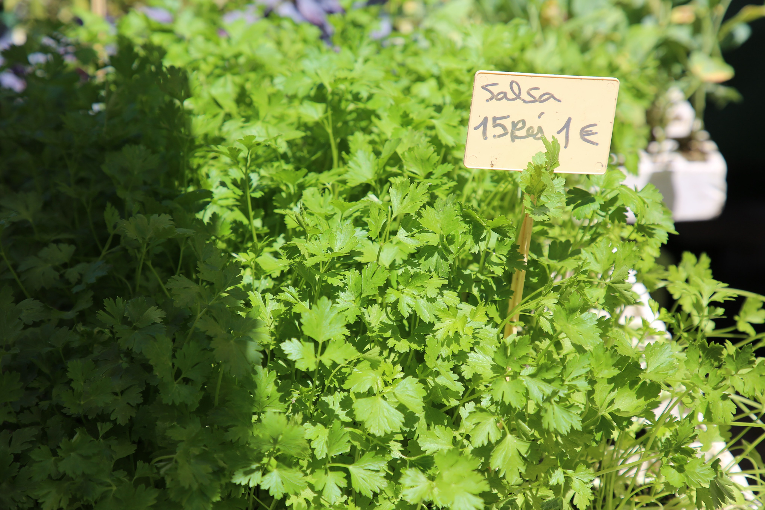 Espihnio, Portugal. Andrey Filippov Photographer