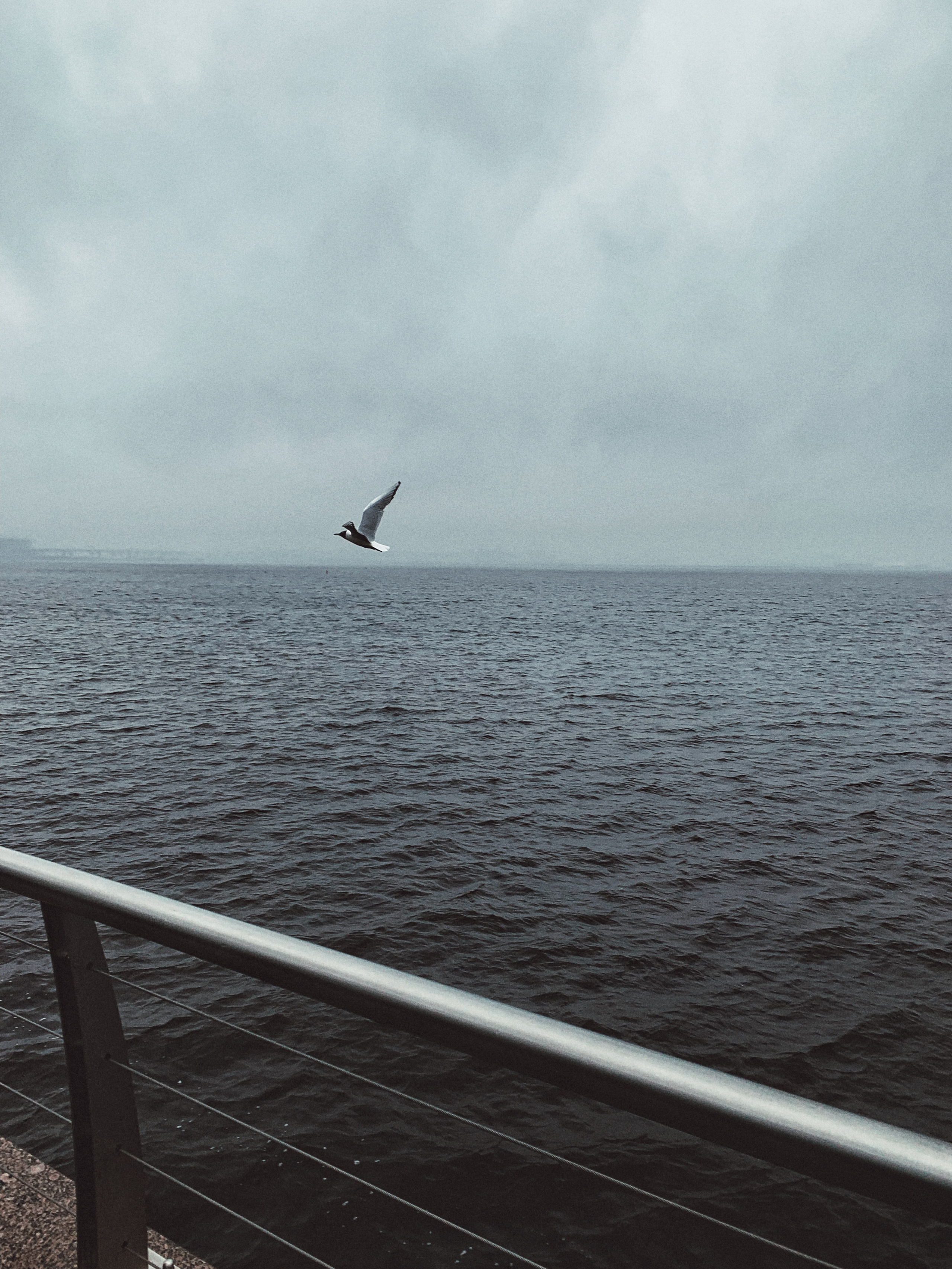 Вдохновение. Ph___tina